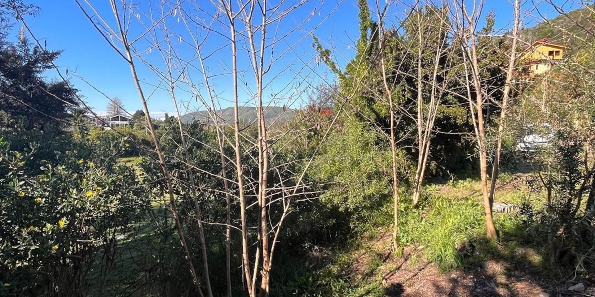 Image 4 of 6