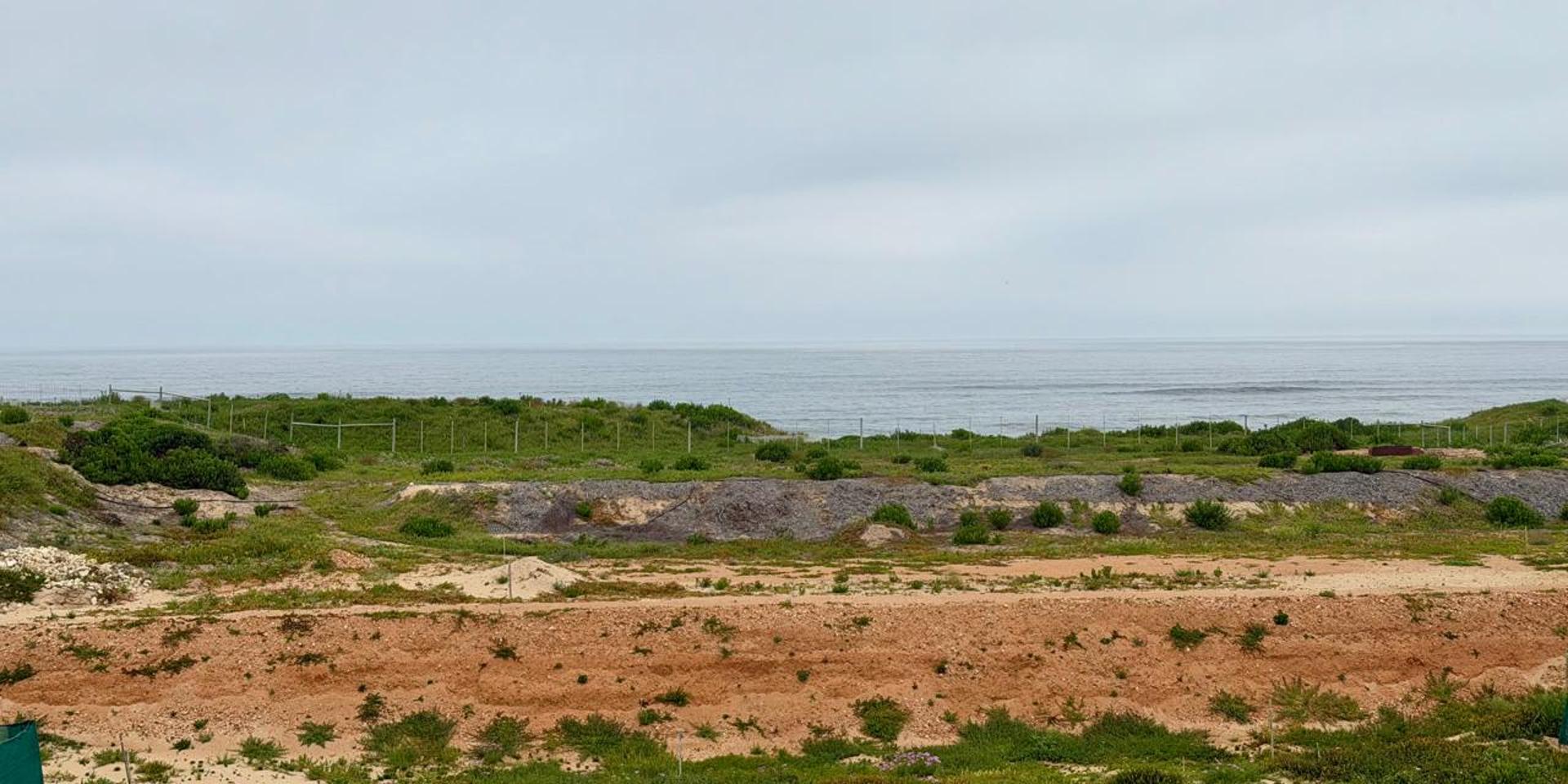 Image 3 of 6