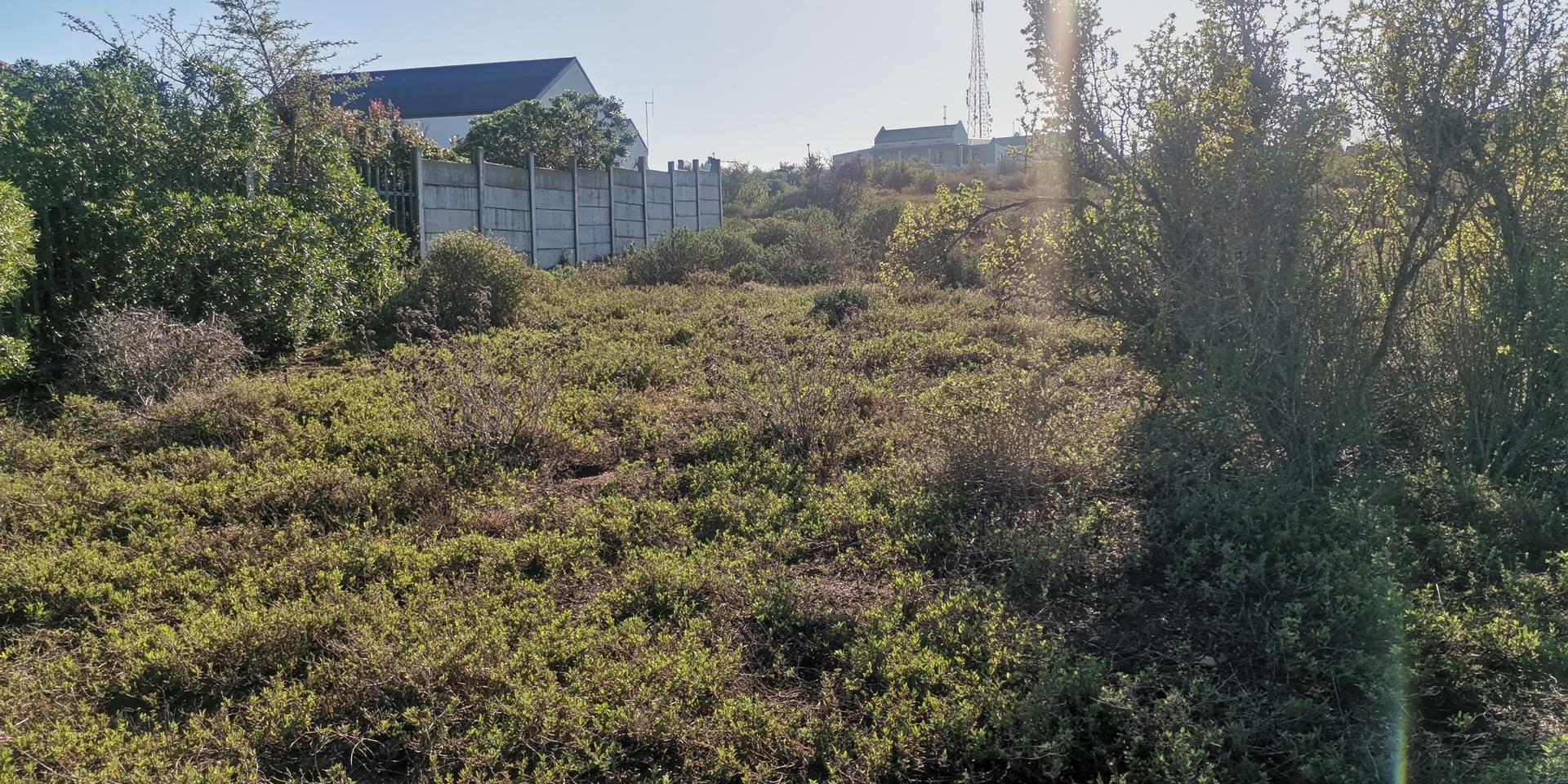 Image 2 of 6
