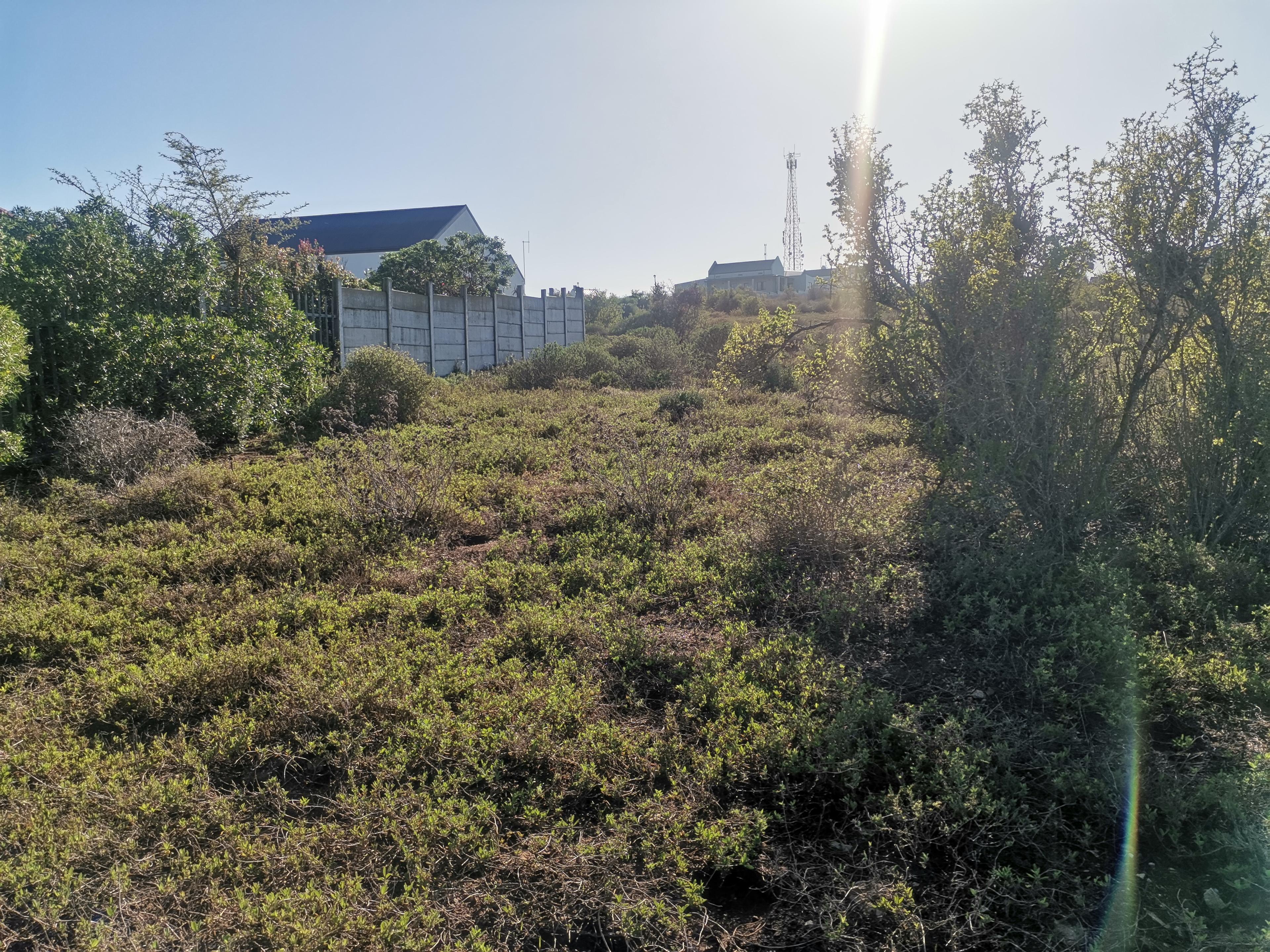 Image 2 of 6