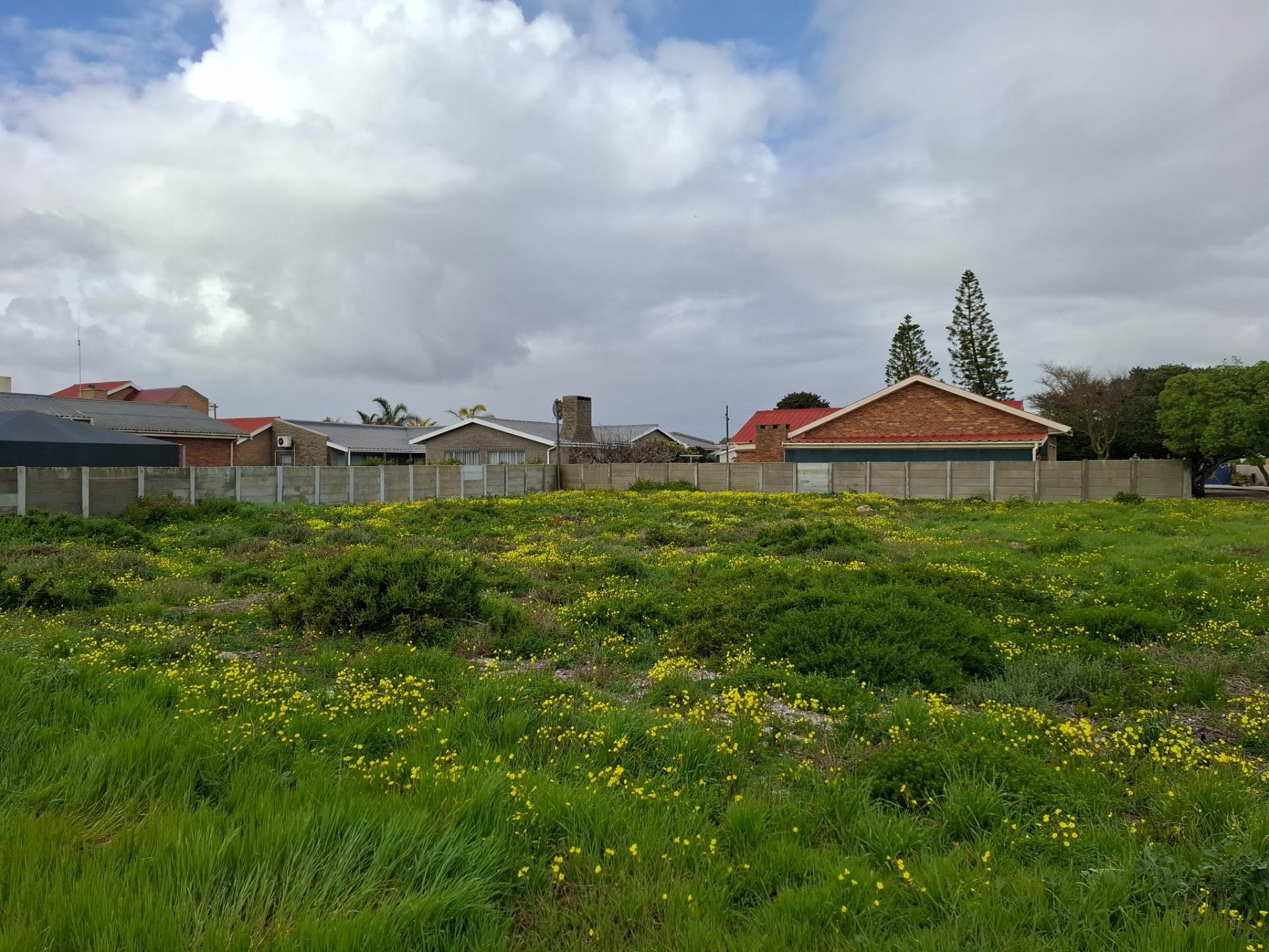 Image 4 of 6