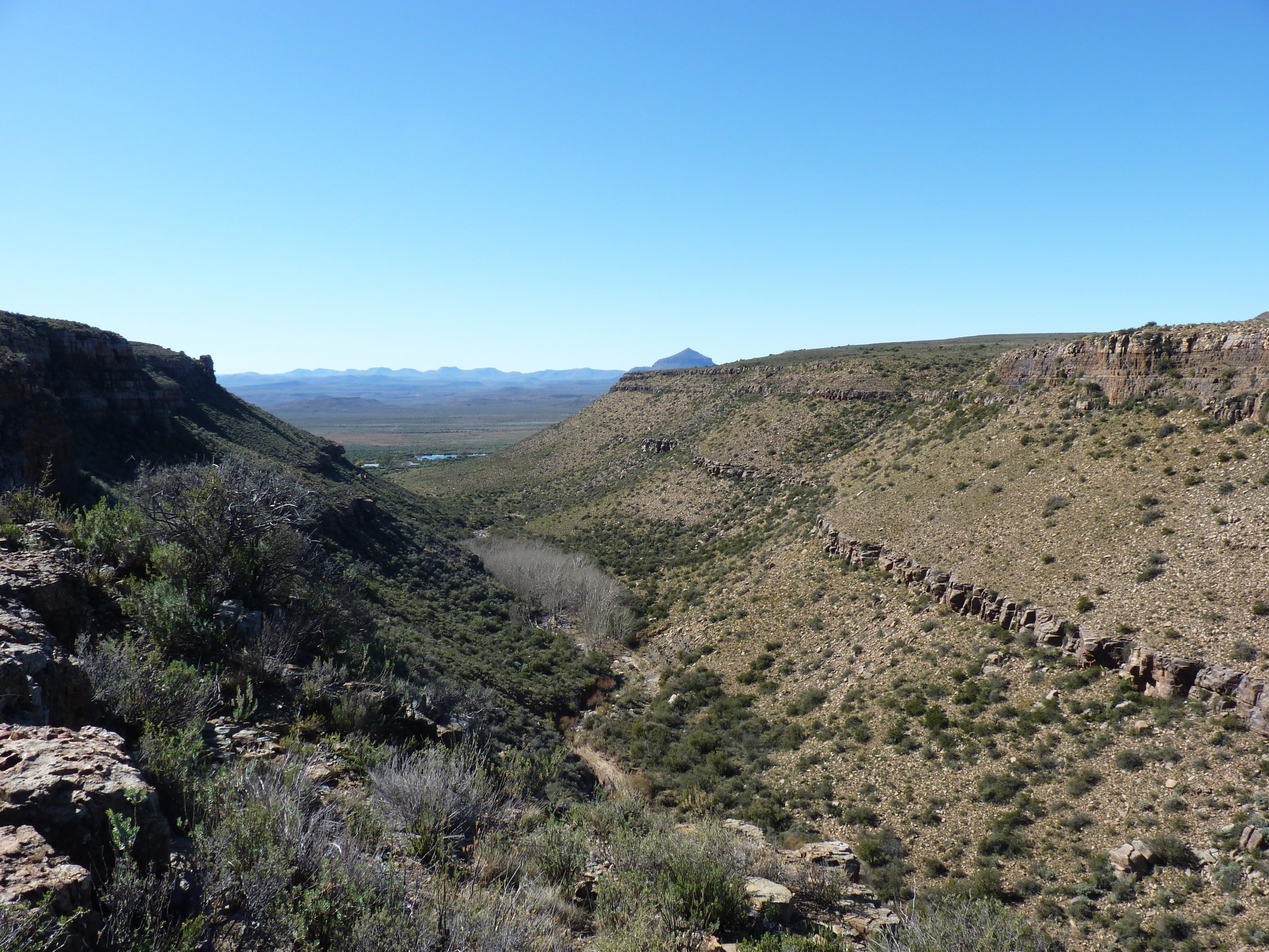 Image 4 of 6