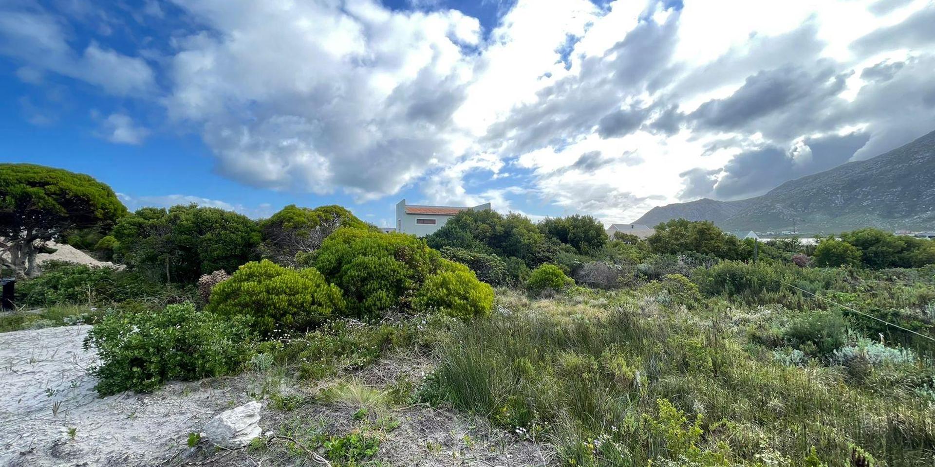 Image 4 of 6