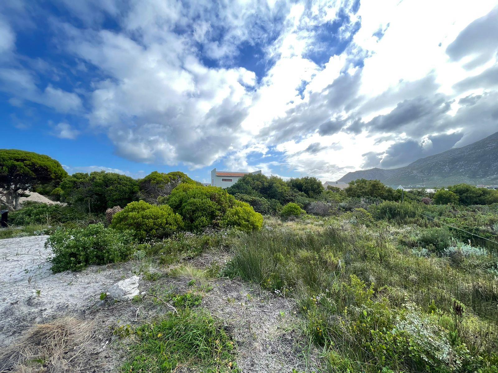 Image 4 of 6