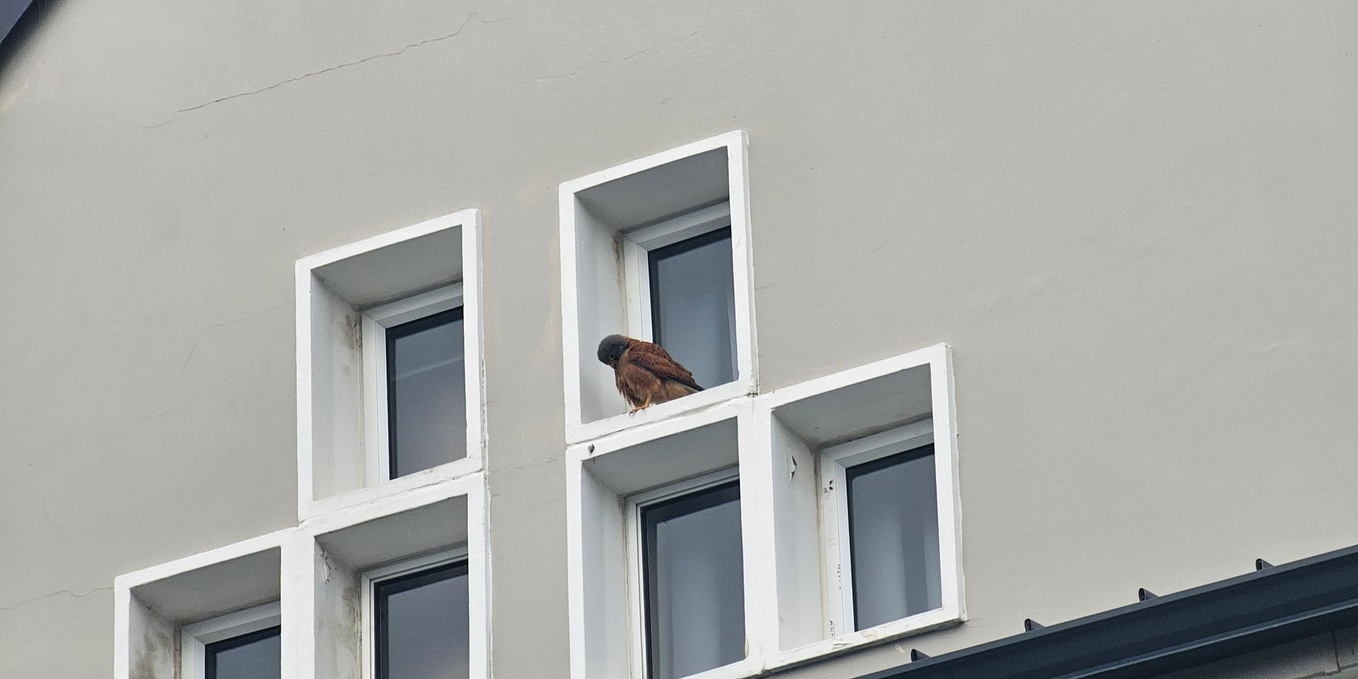 Image 5 of 6