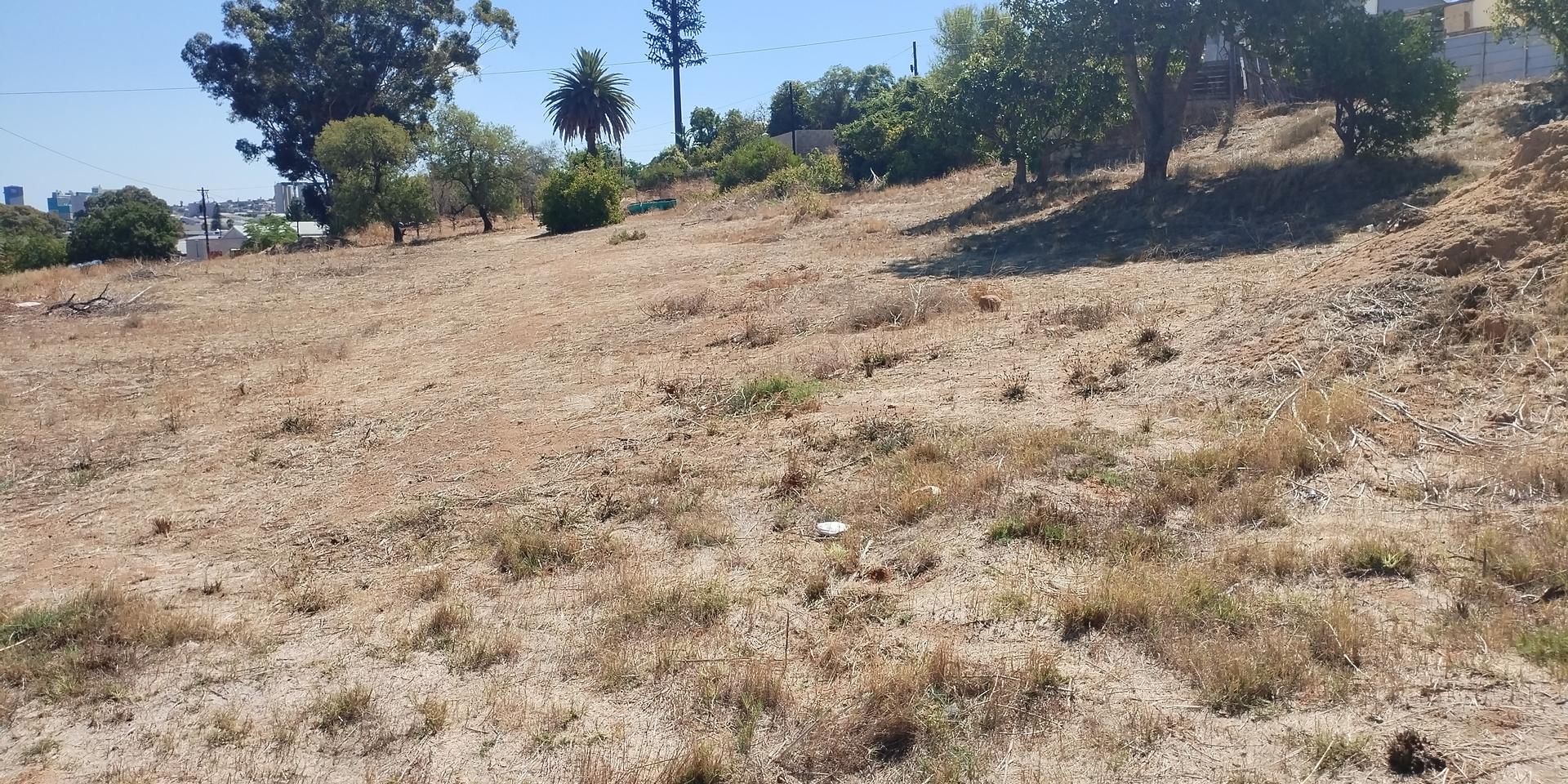 Image 4 of 6