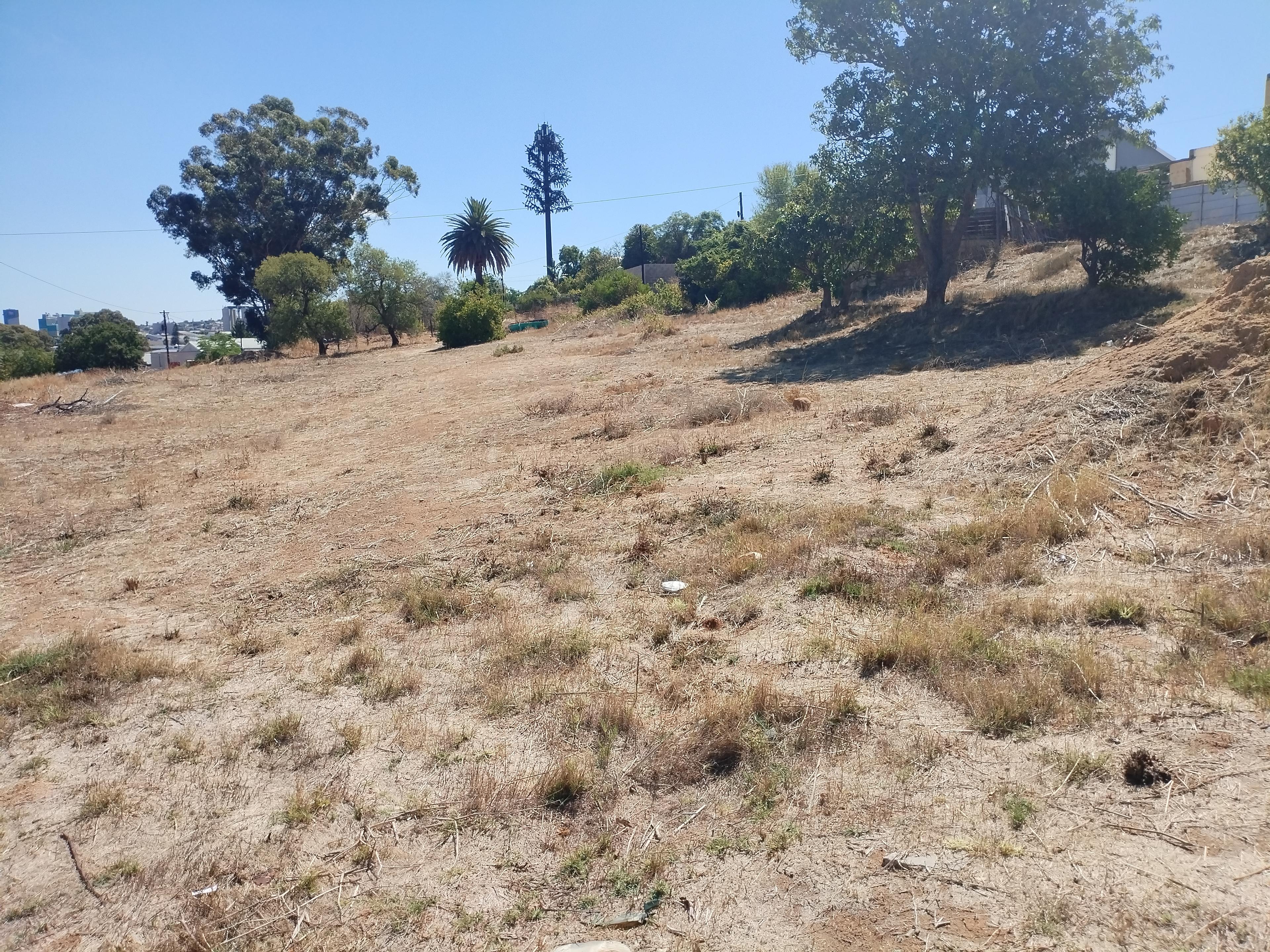 Image 4 of 6