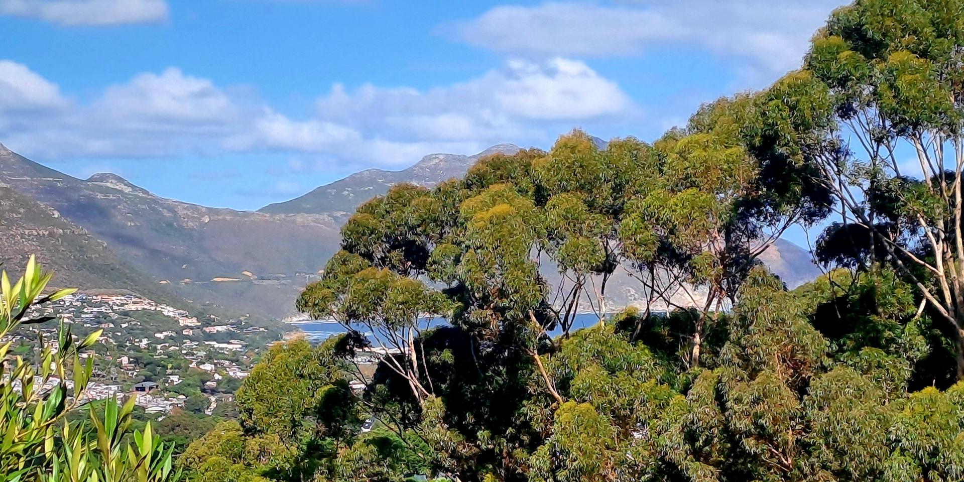 Image 5 of 6