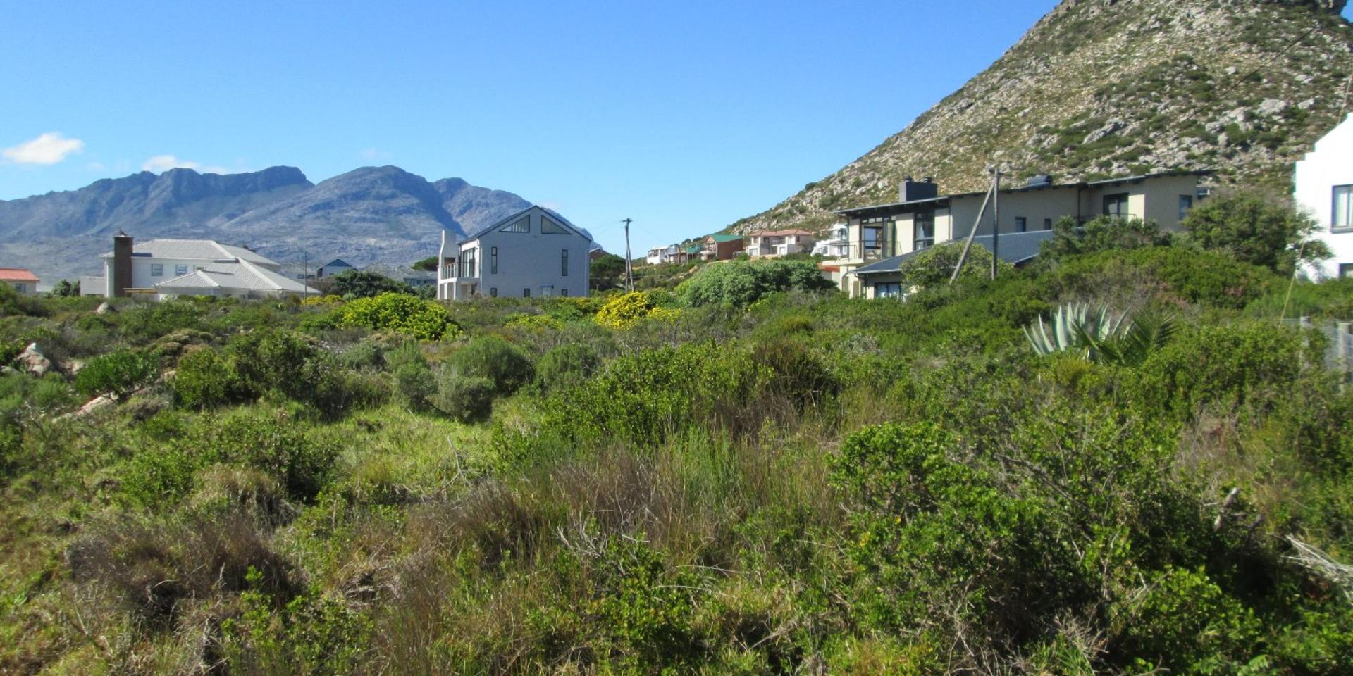 Image 4 of 6