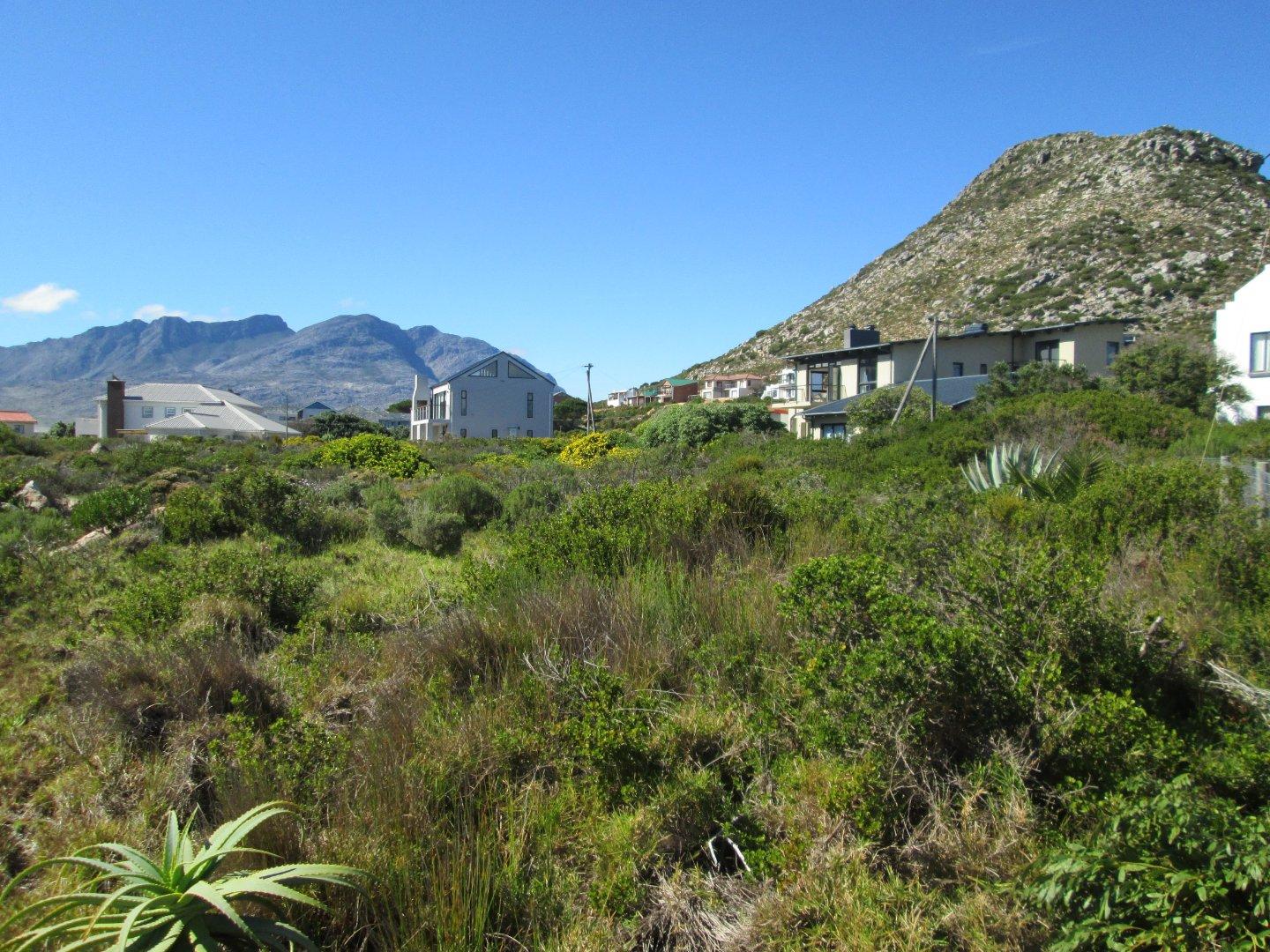 Image 4 of 6