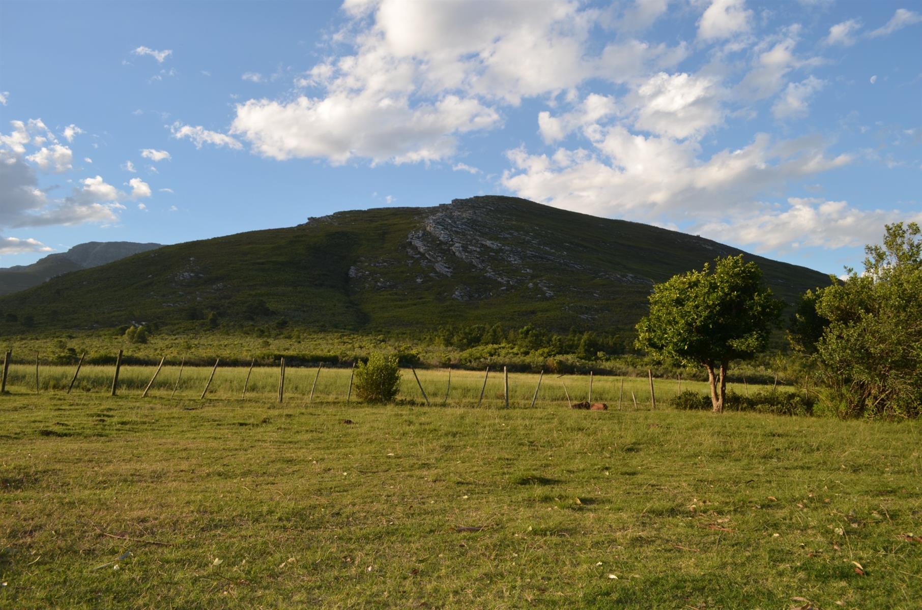 Image 35