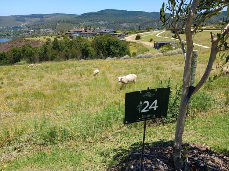 Main property image