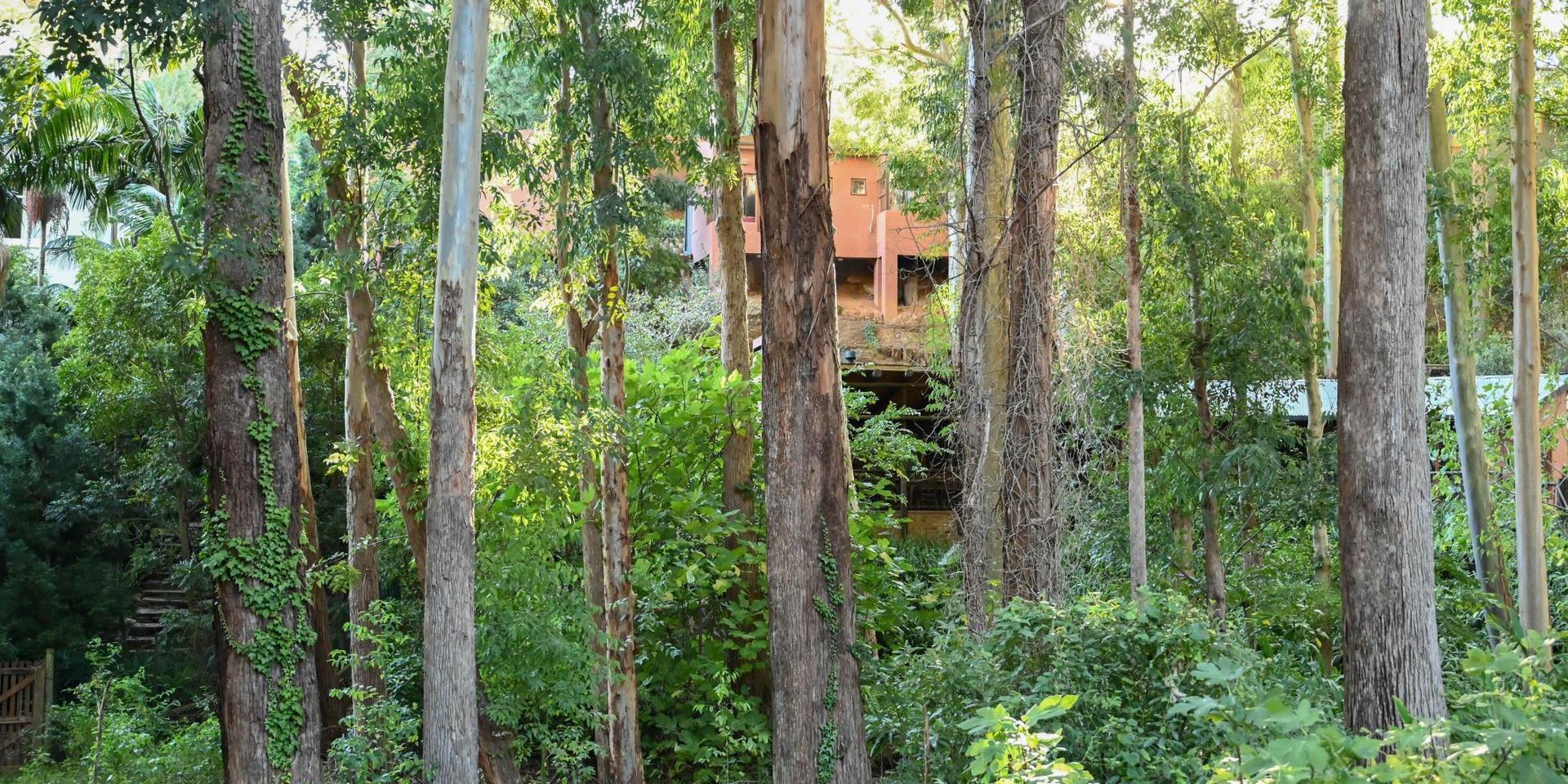 Image 2 of 6