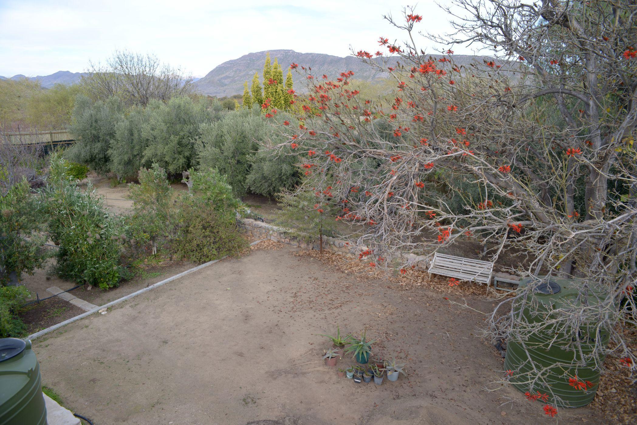 Image 42
