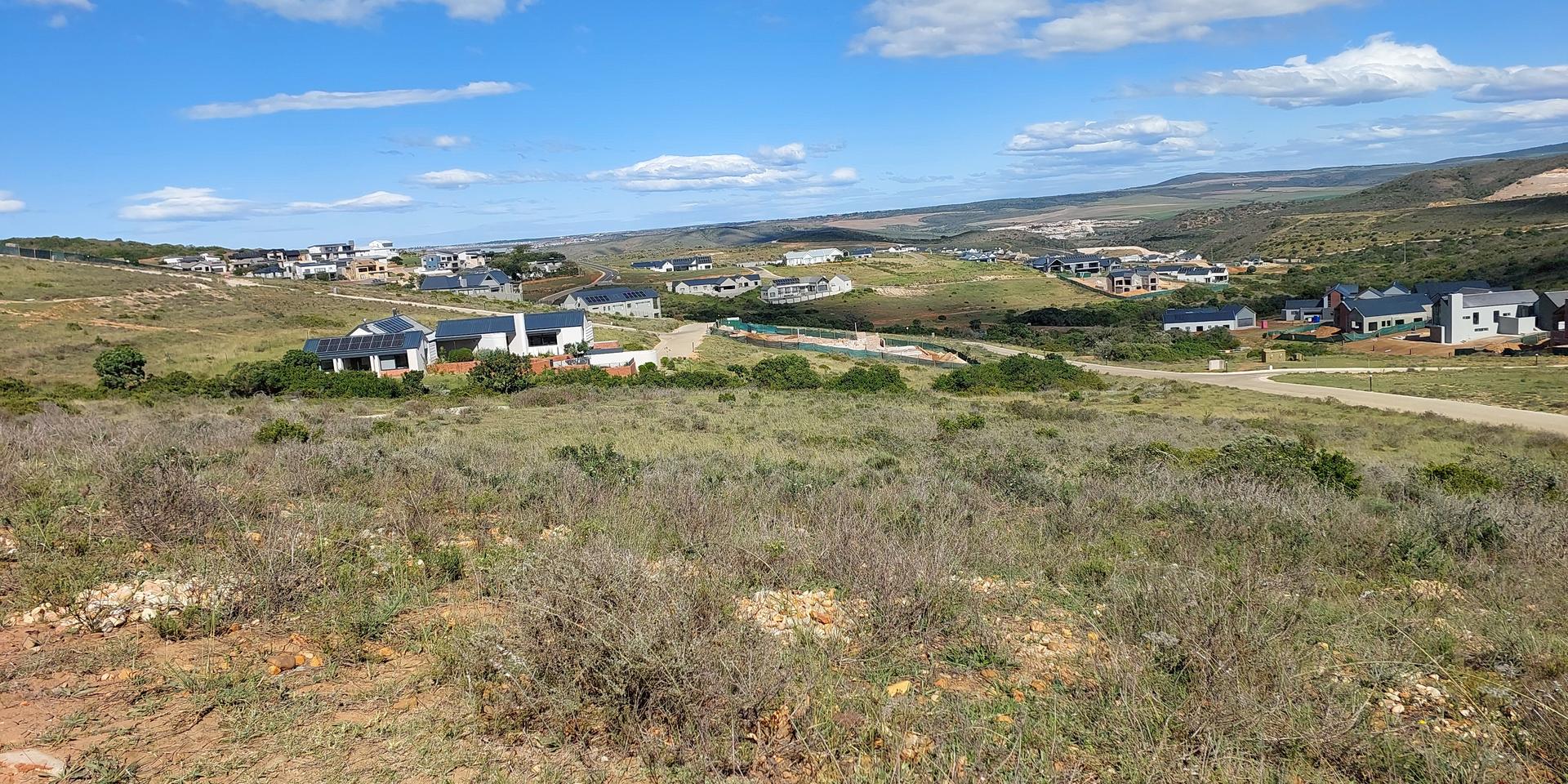 Image 5 of 6