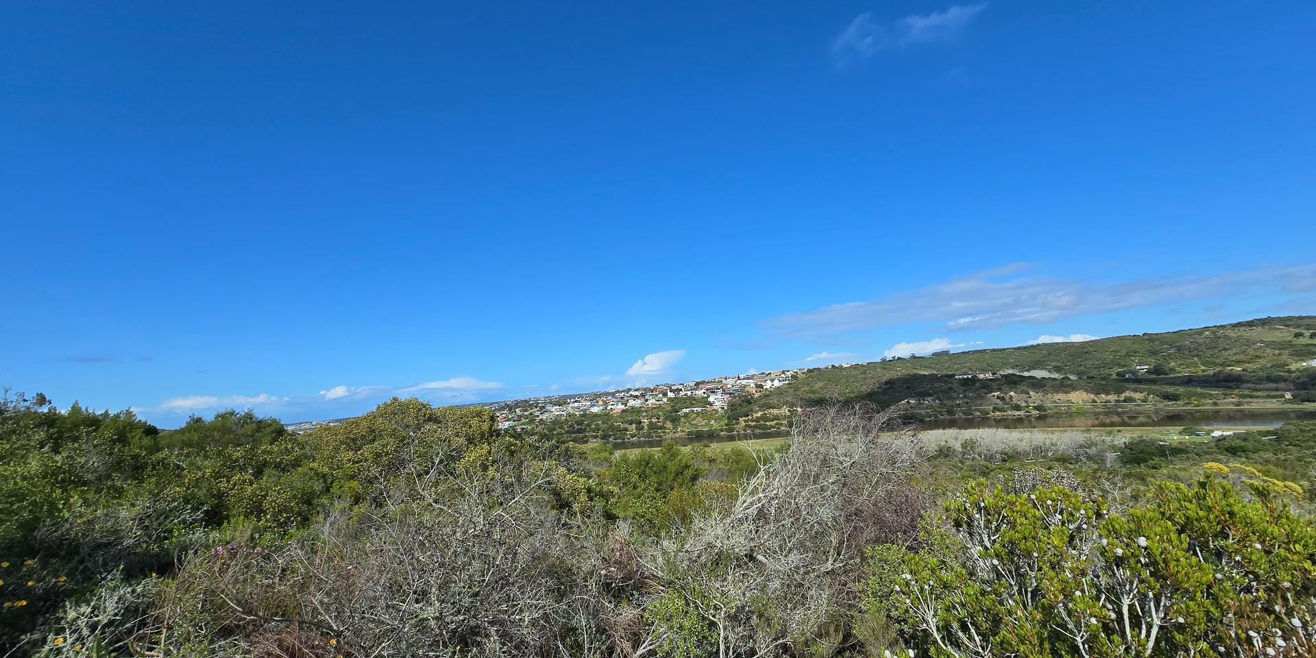 Image 3 of 6