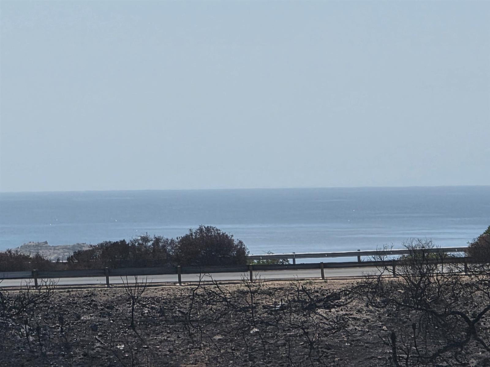 Image 18