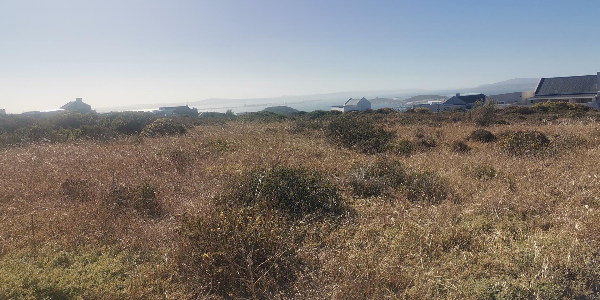 Image 4 of 6