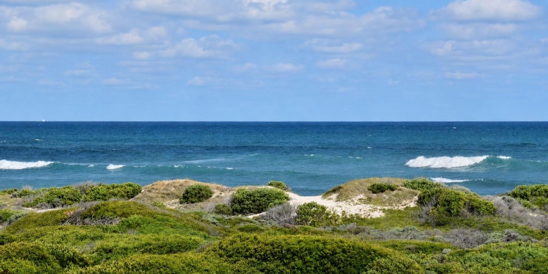 Image 5 of 6
