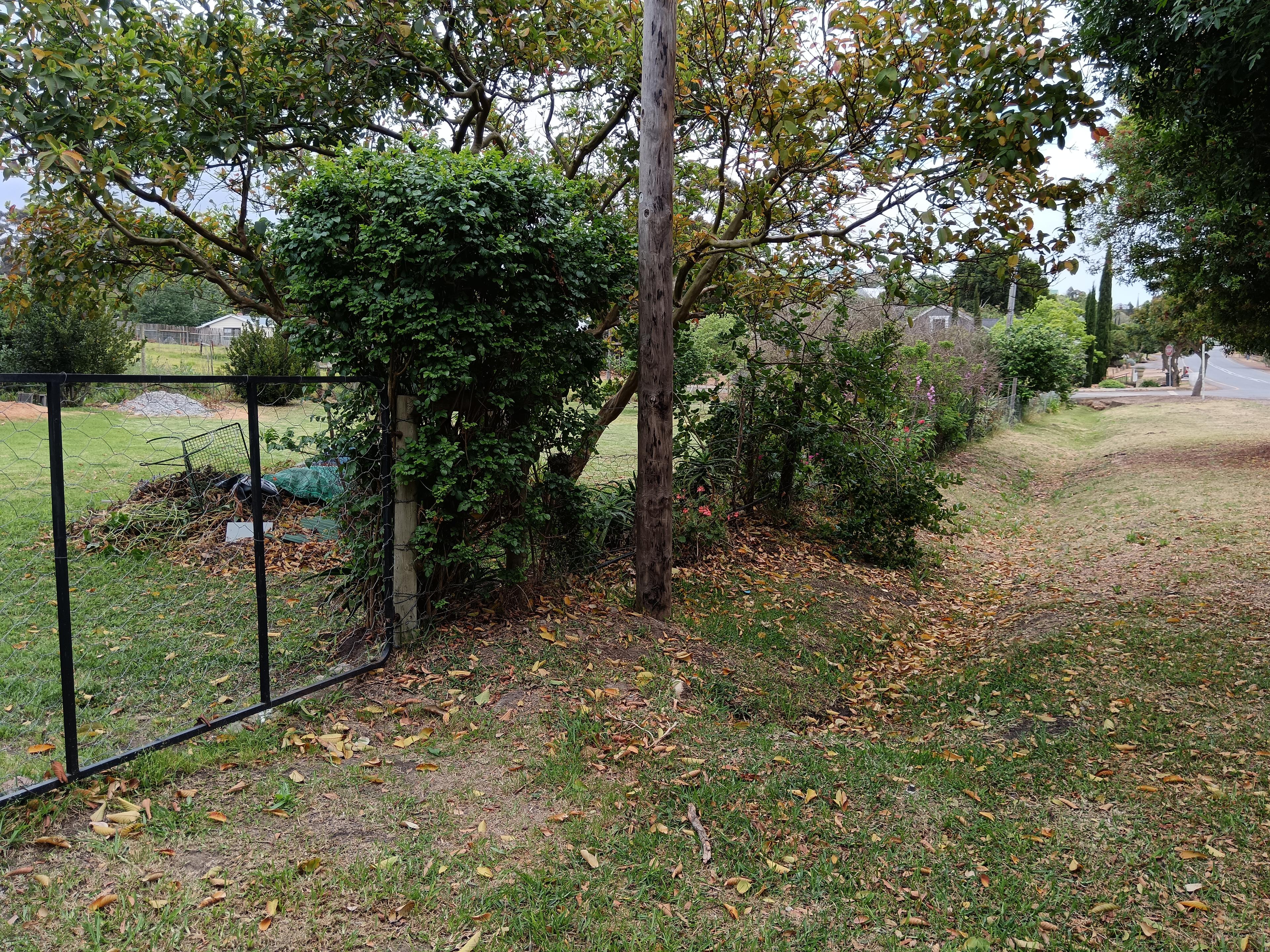 Image 4 of 6
