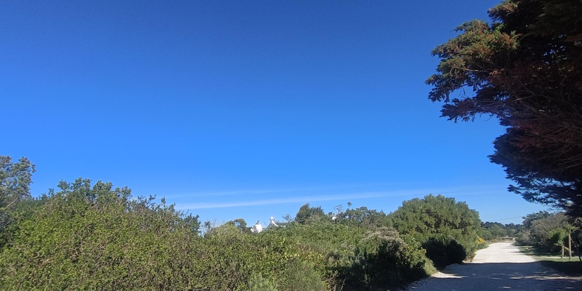 Image 4 of 6