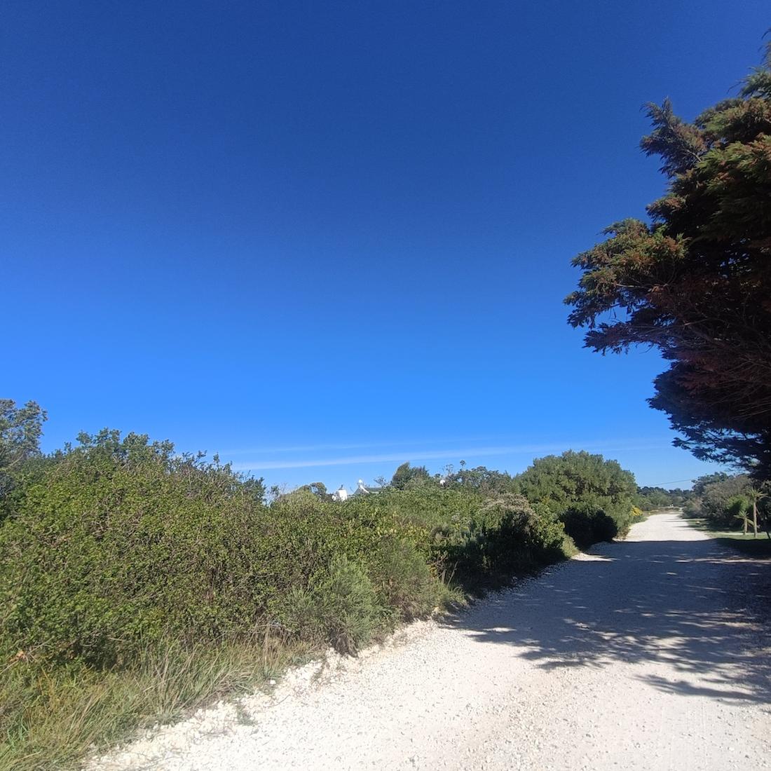 Image 4 of 6
