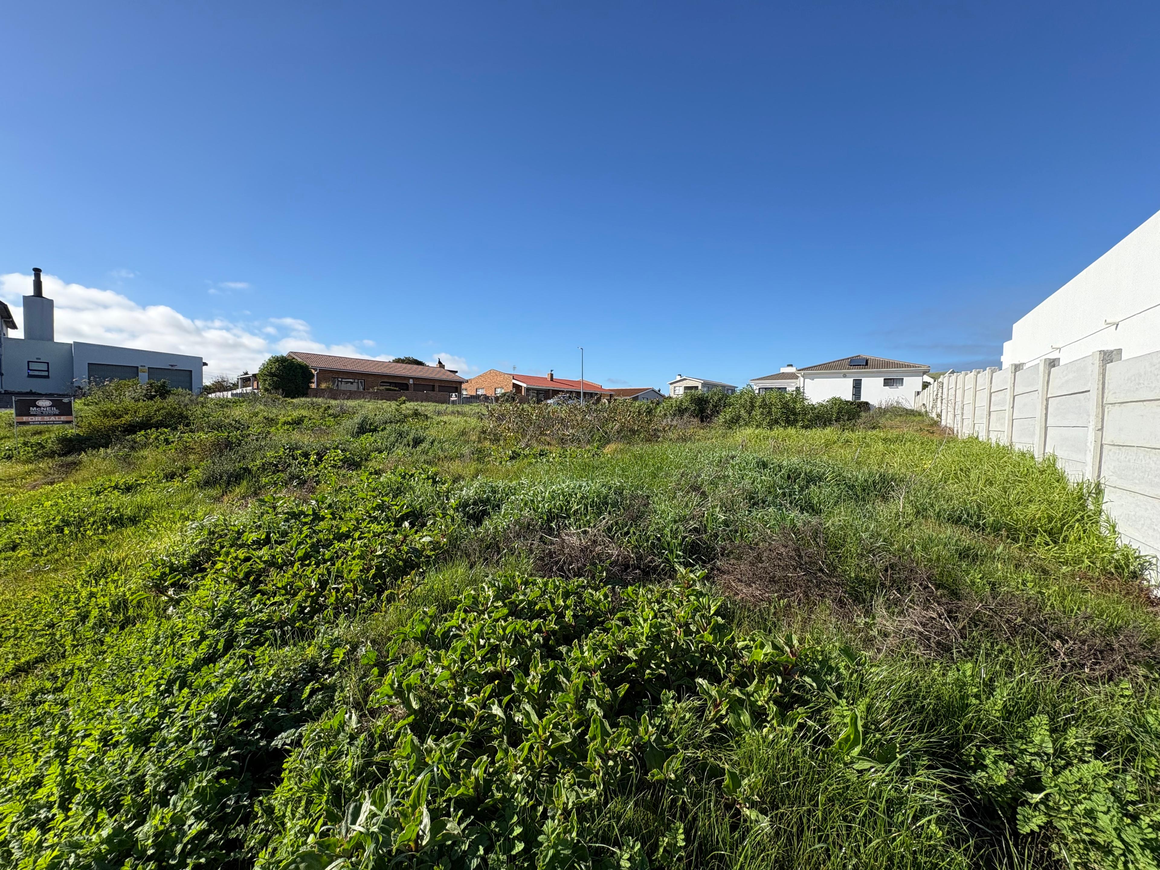 Image 5 of 6