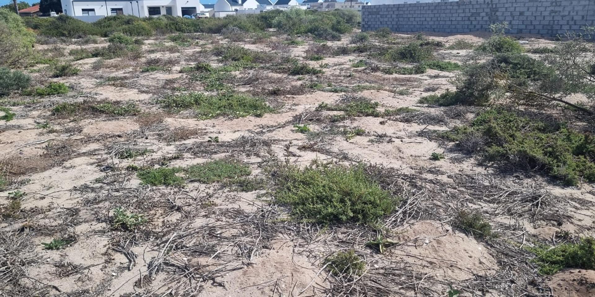 Image 2 of 6
