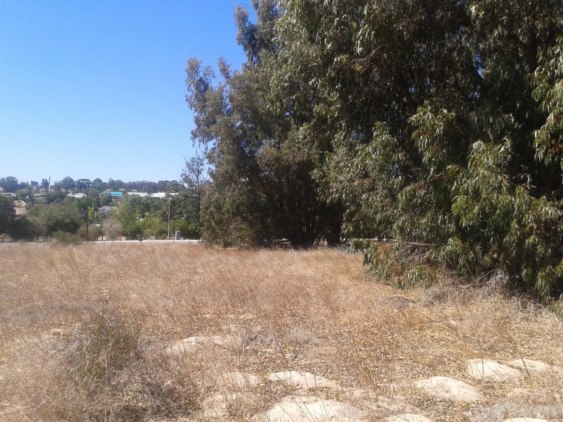 Image 9