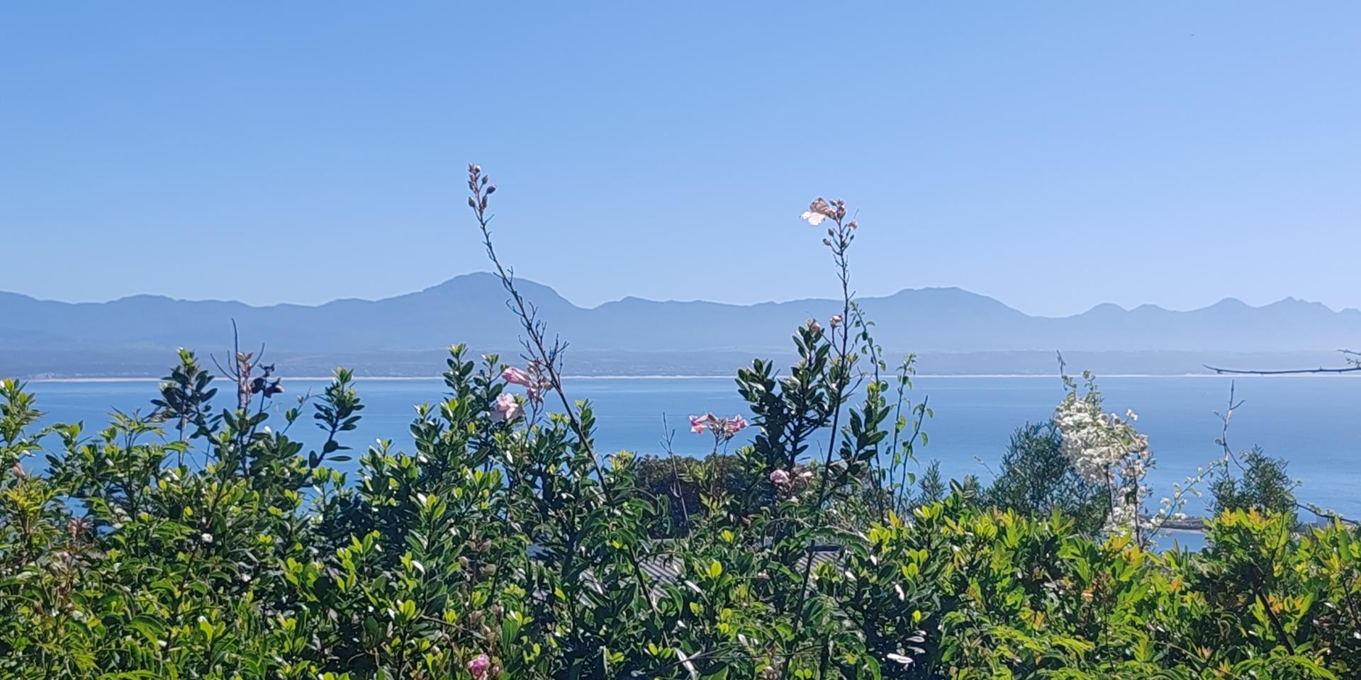 Image 5 of 6