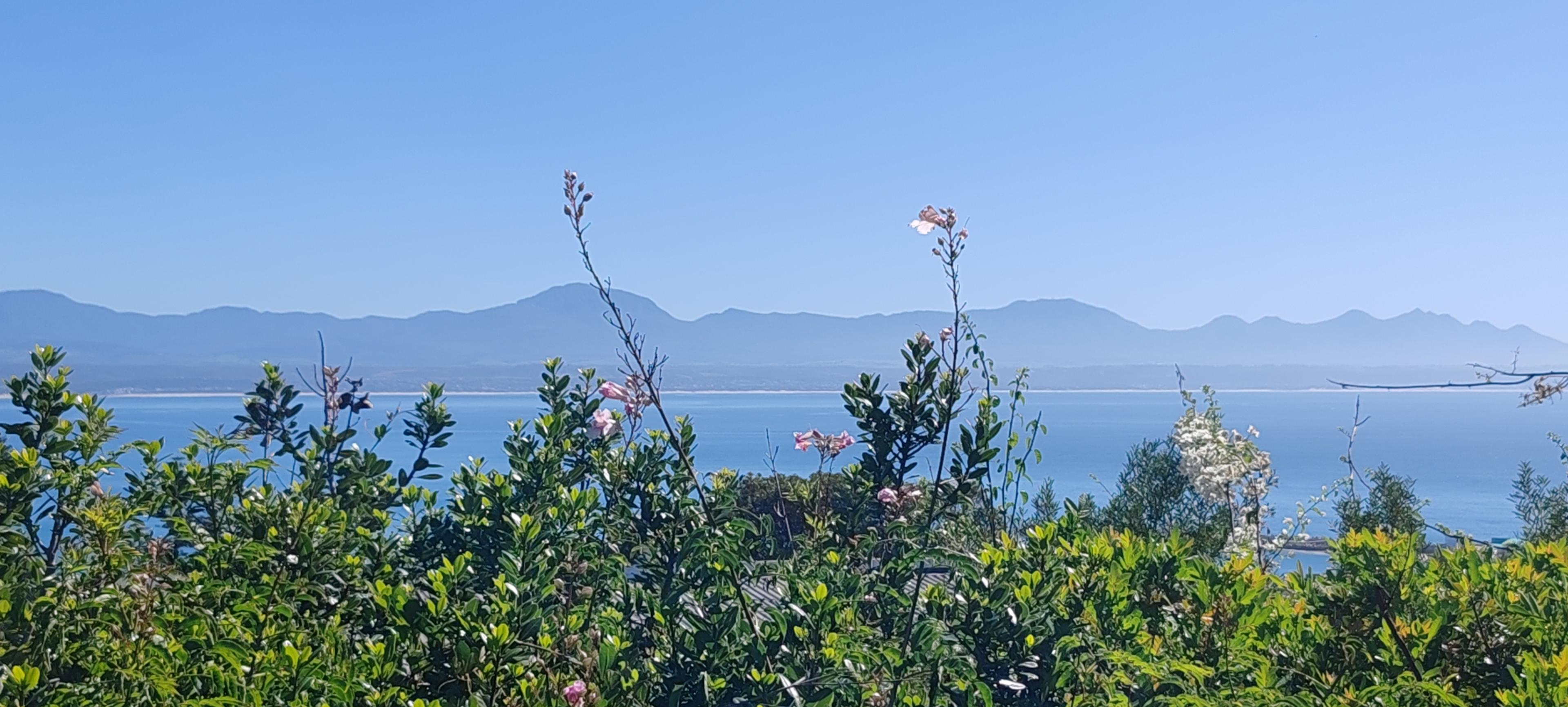 Image 5 of 6
