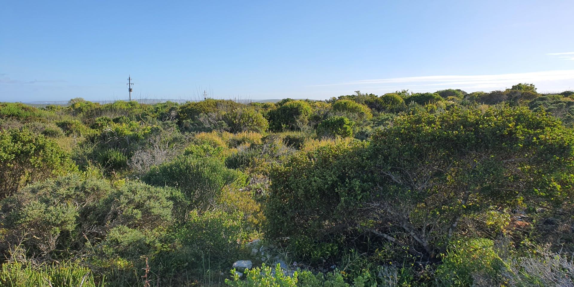 Image 4 of 6