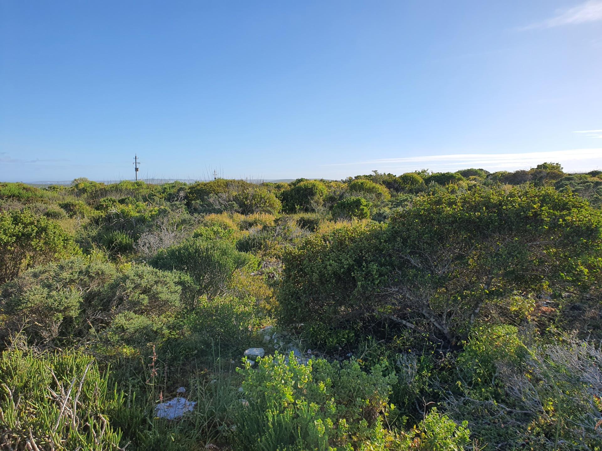 Image 4 of 6