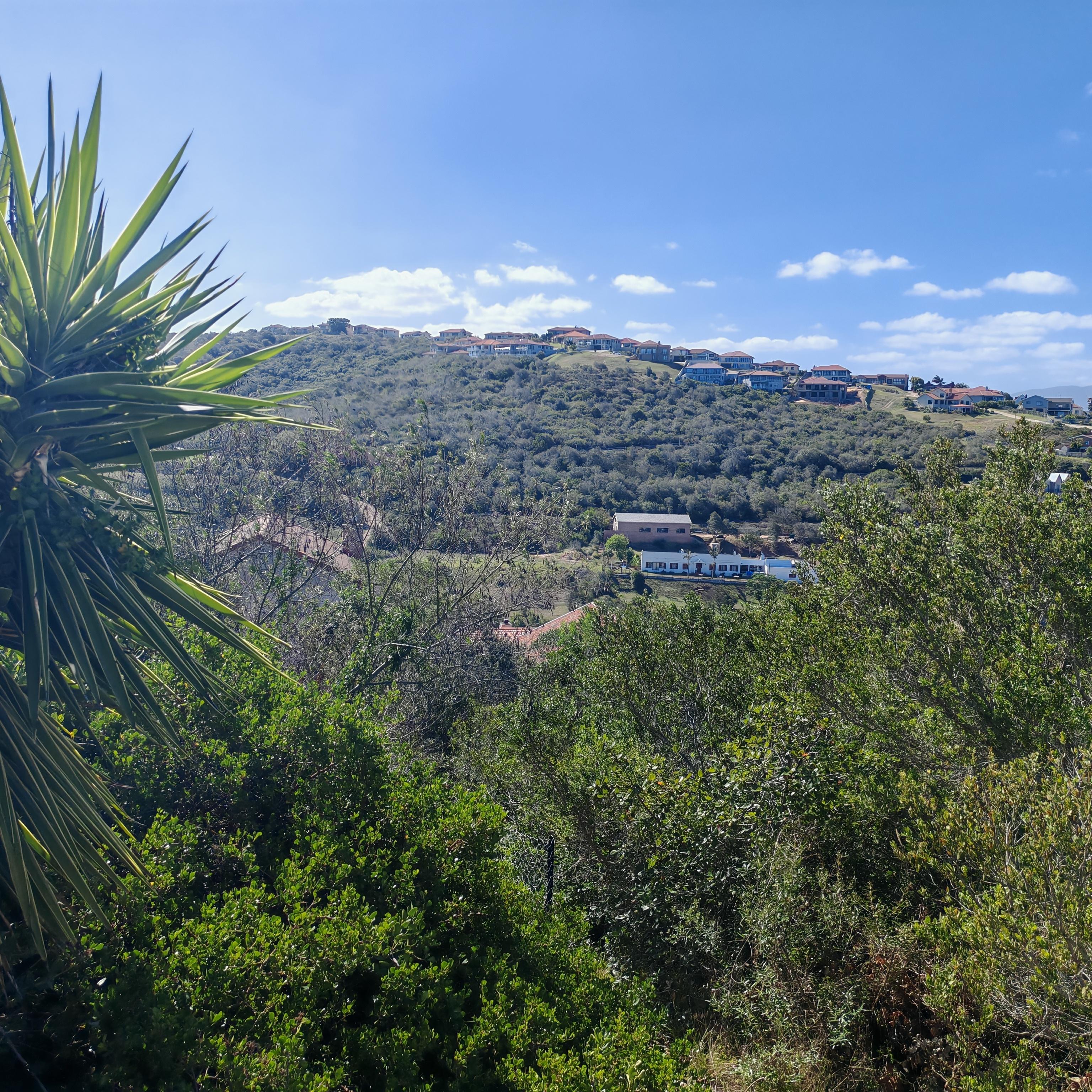 Image 4 of 6