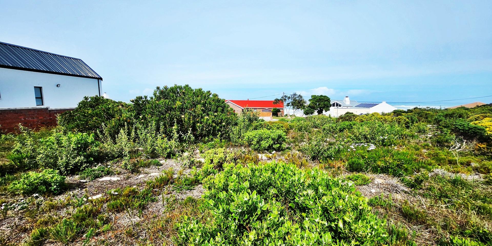Image 3 of 6