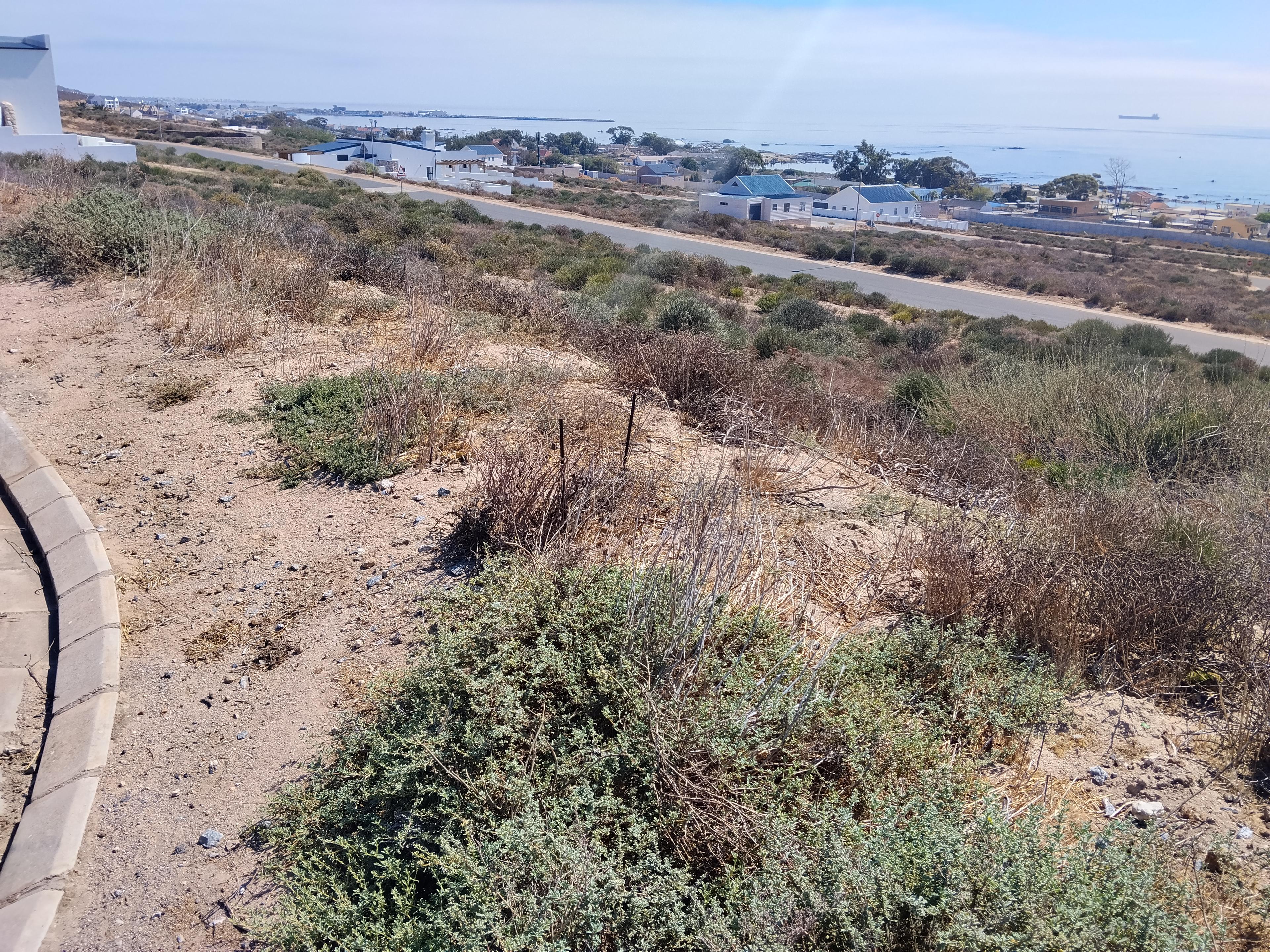 Image 5 of 6