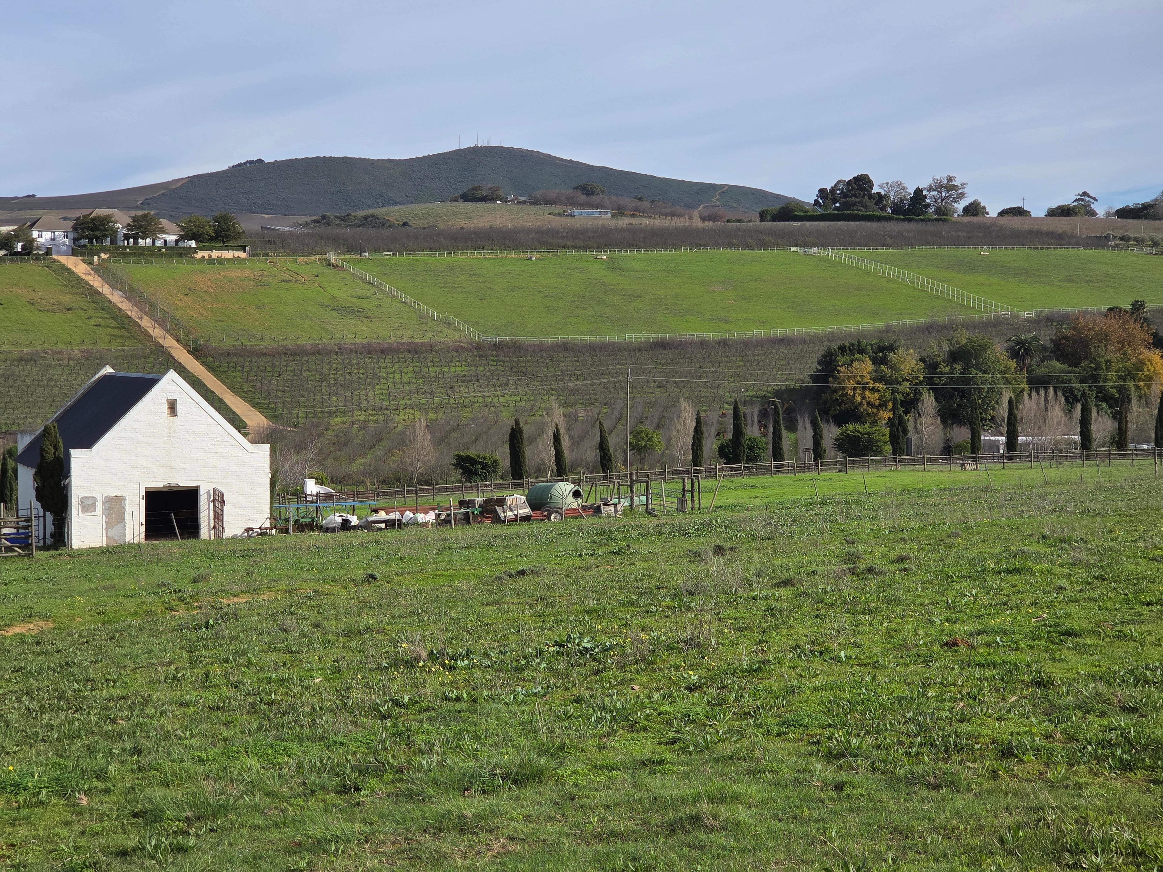 Image 16