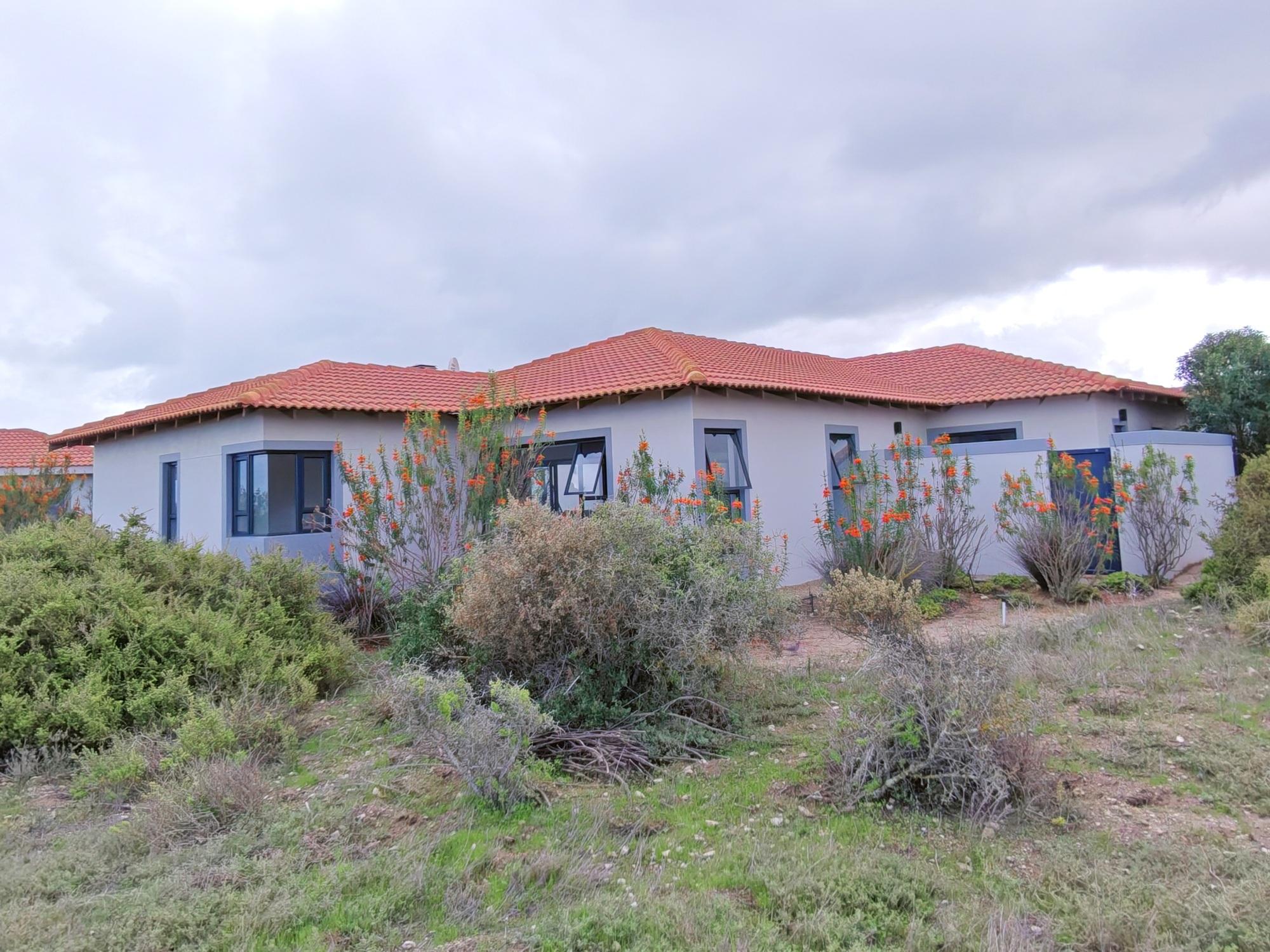 Image 33