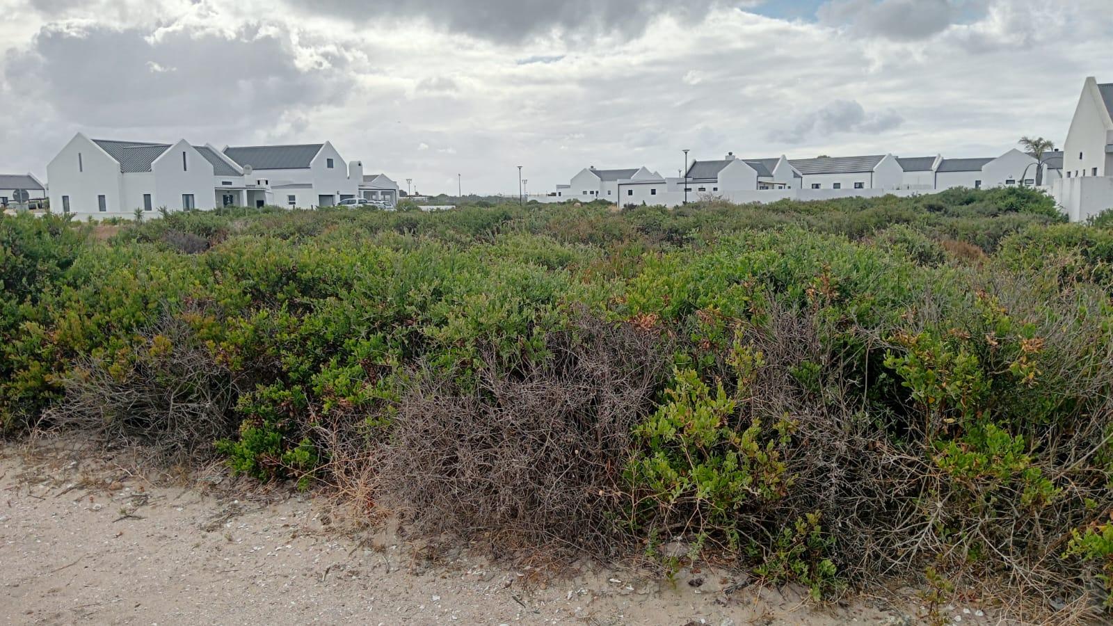 Image 17