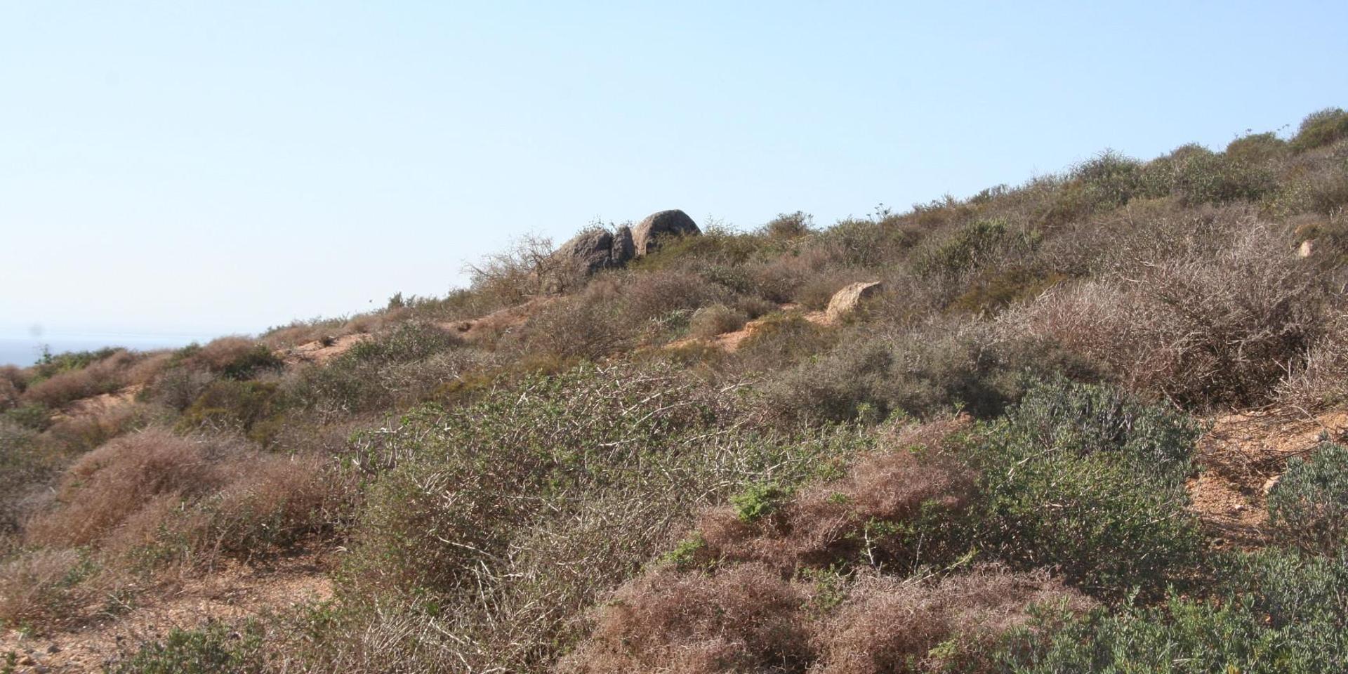 Image 5 of 6