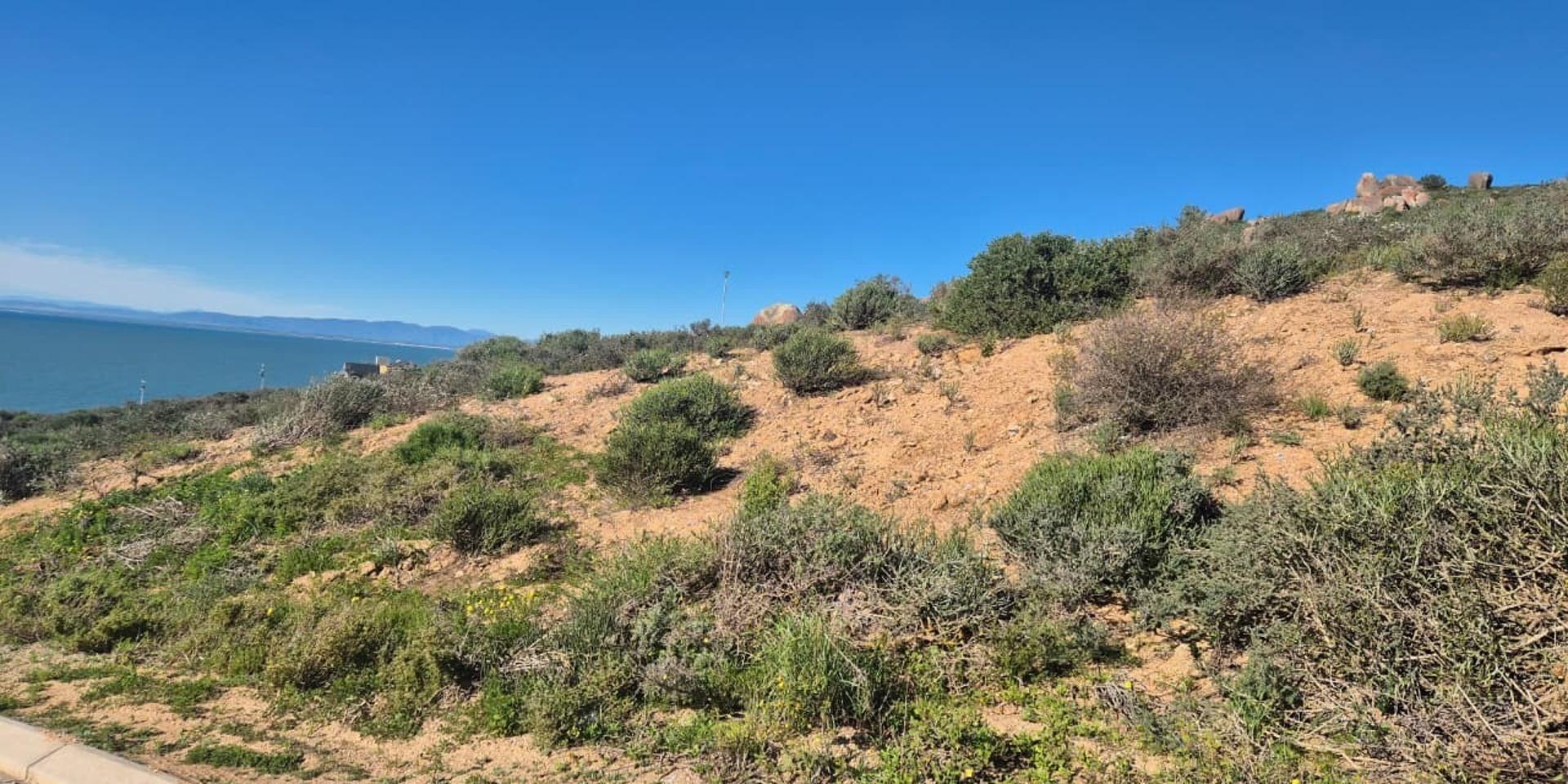 Image 4 of 6