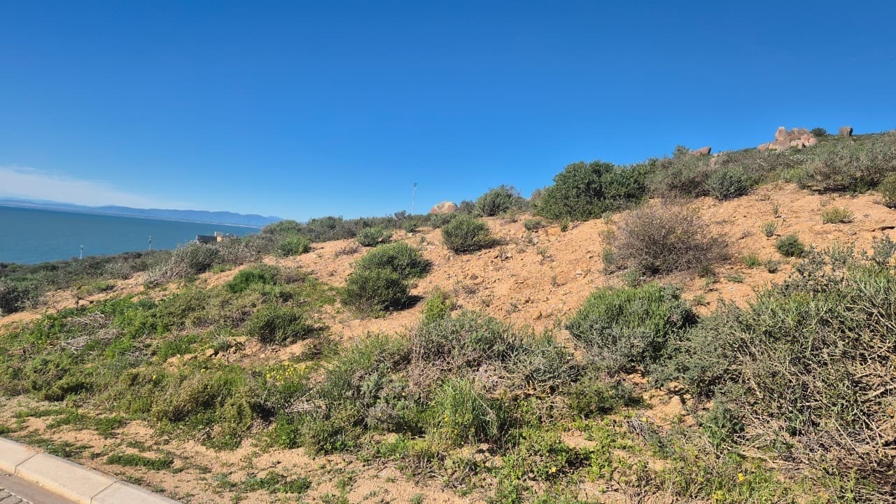Image 4 of 6