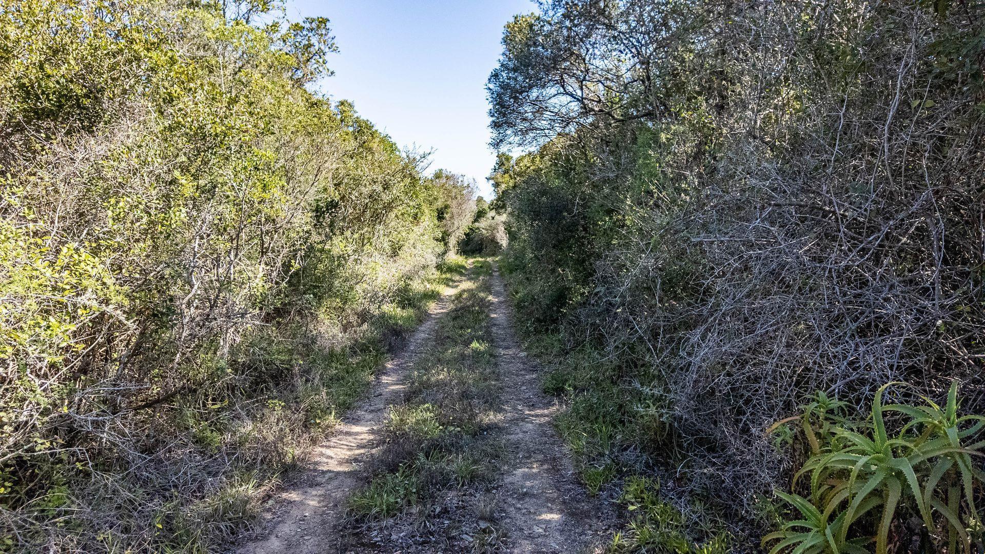 Image 3 of 6