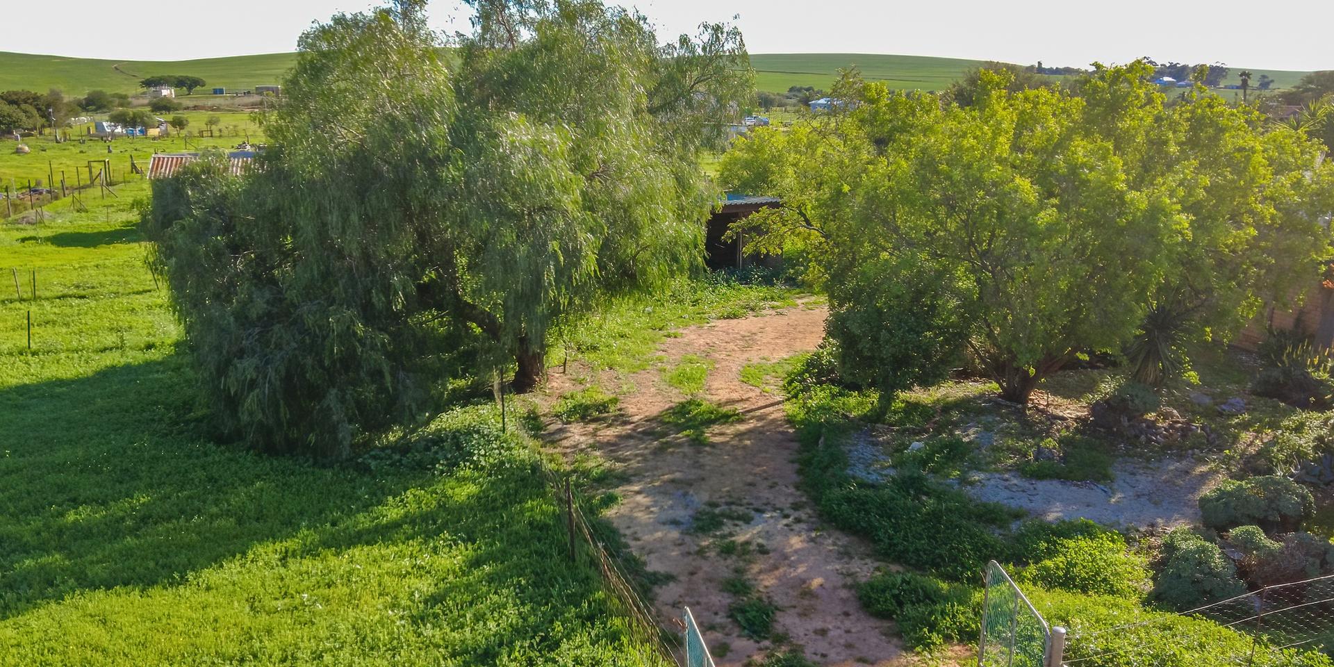 Image 4 of 6