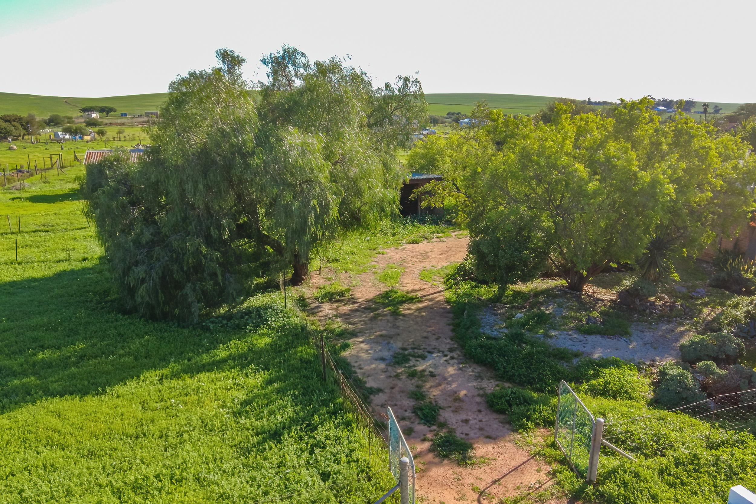 Image 4 of 6
