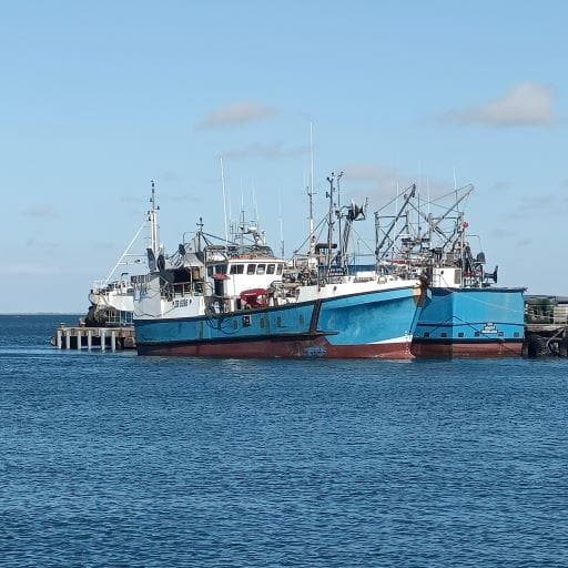 Image 12