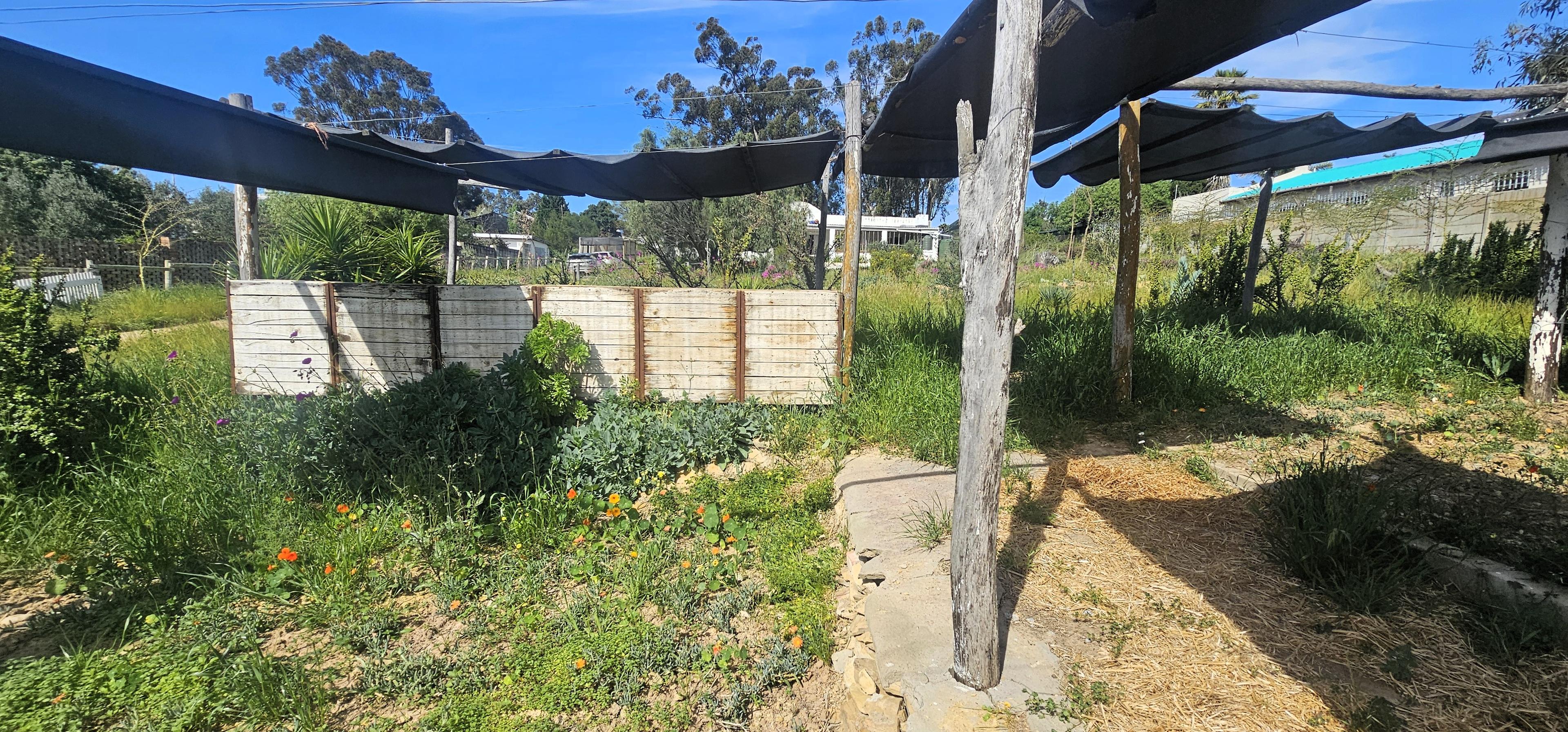 Image 35