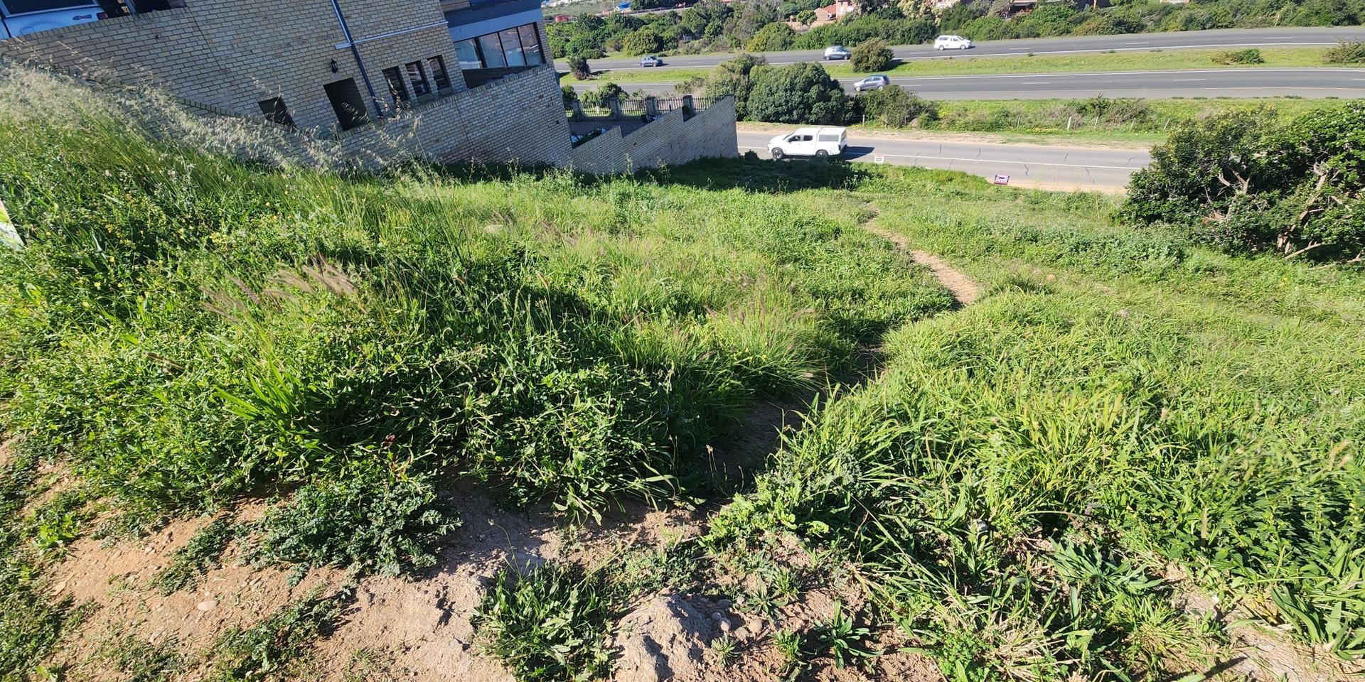 Image 3 of 6