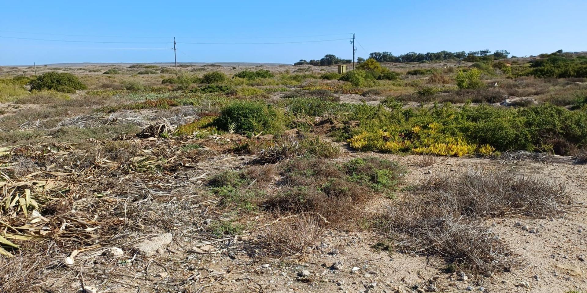 Image 3 of 6