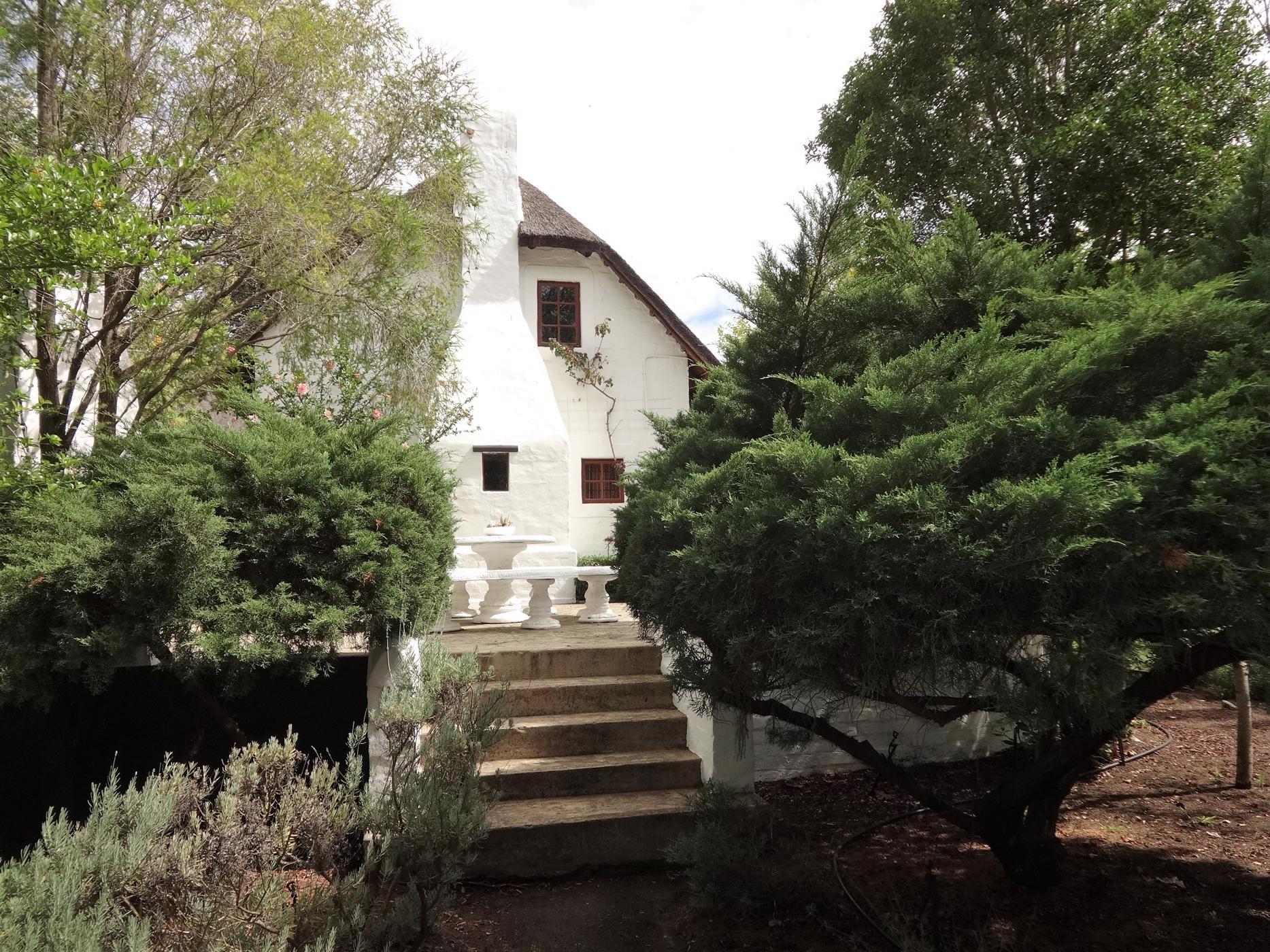 Image 19